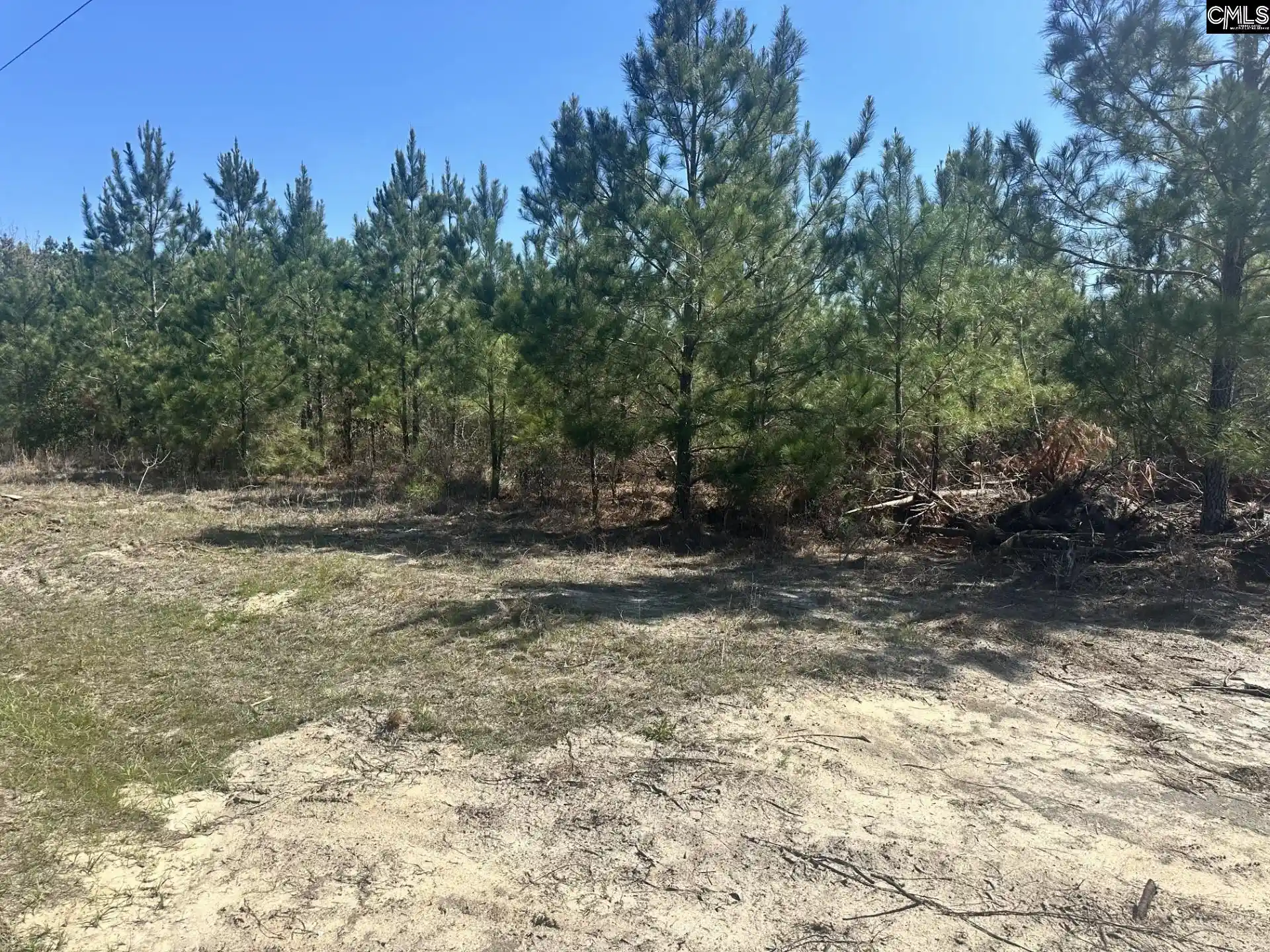 Photo 3 of Sale Pending at 0 Catalina, Swansea, SC 29160 | MLS# 629620 | Listing updated on 2026-09-21