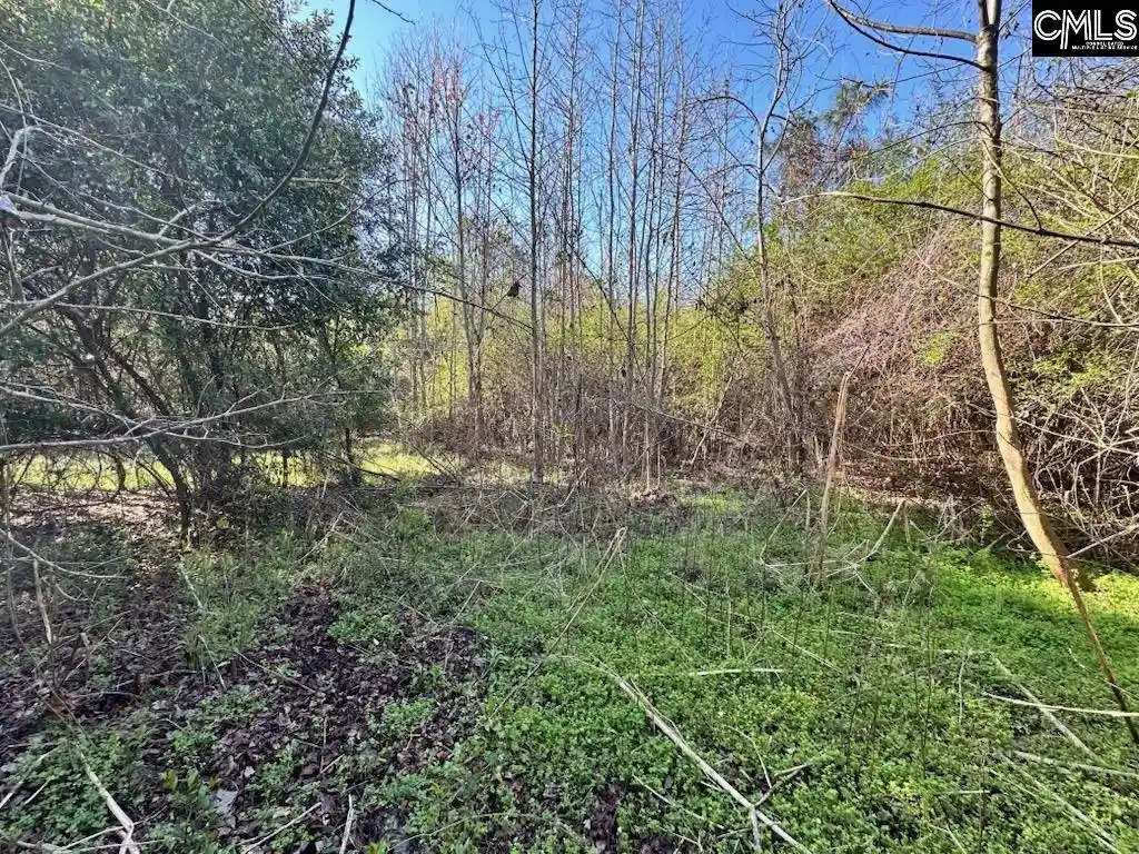 15th image of Tbd Blewer, Cordova, SC 29039 | MLS# 629700