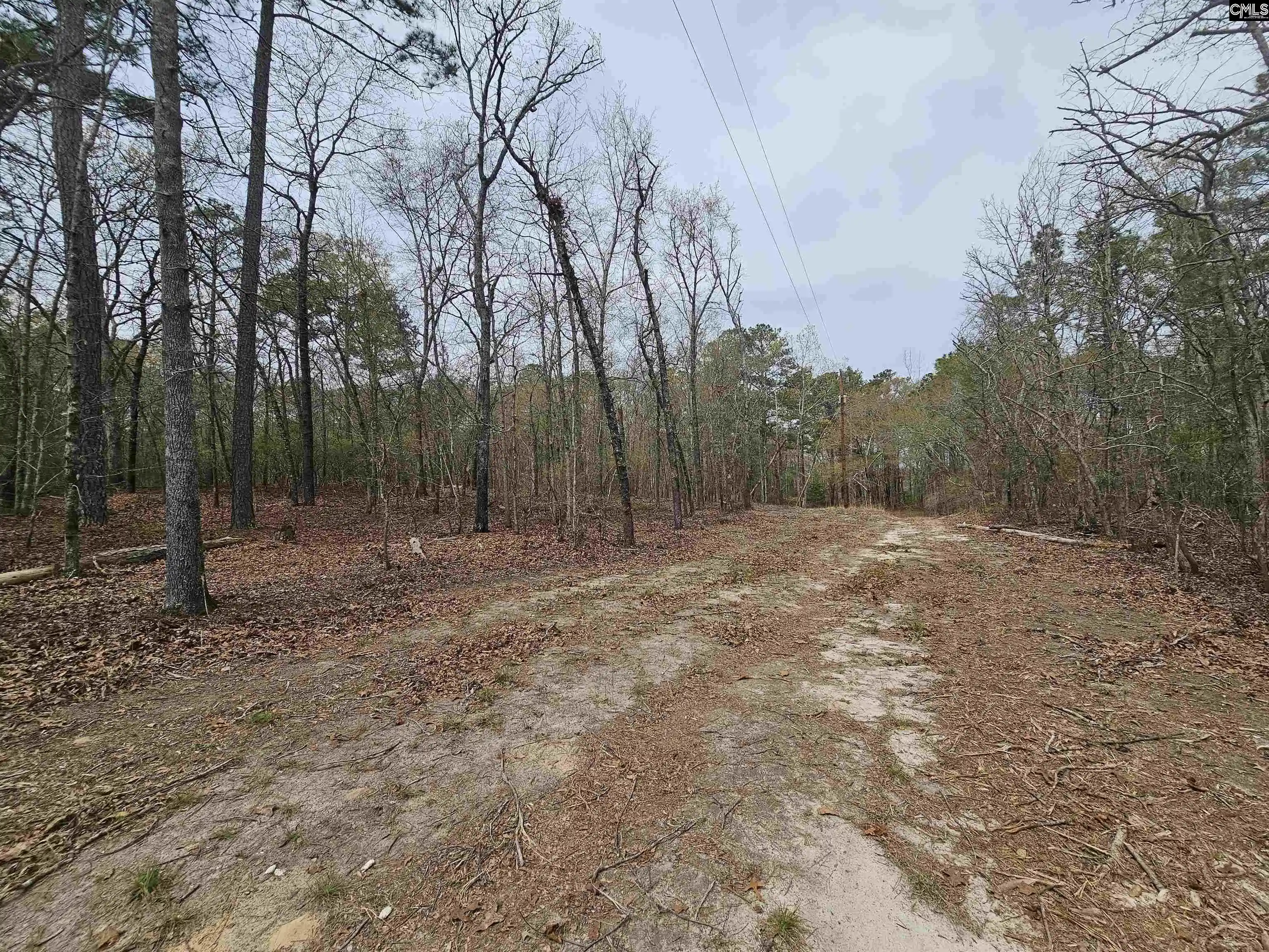 Land for sale at 149 Grimes, Hopkins, SC 29061 | MLS# 629822