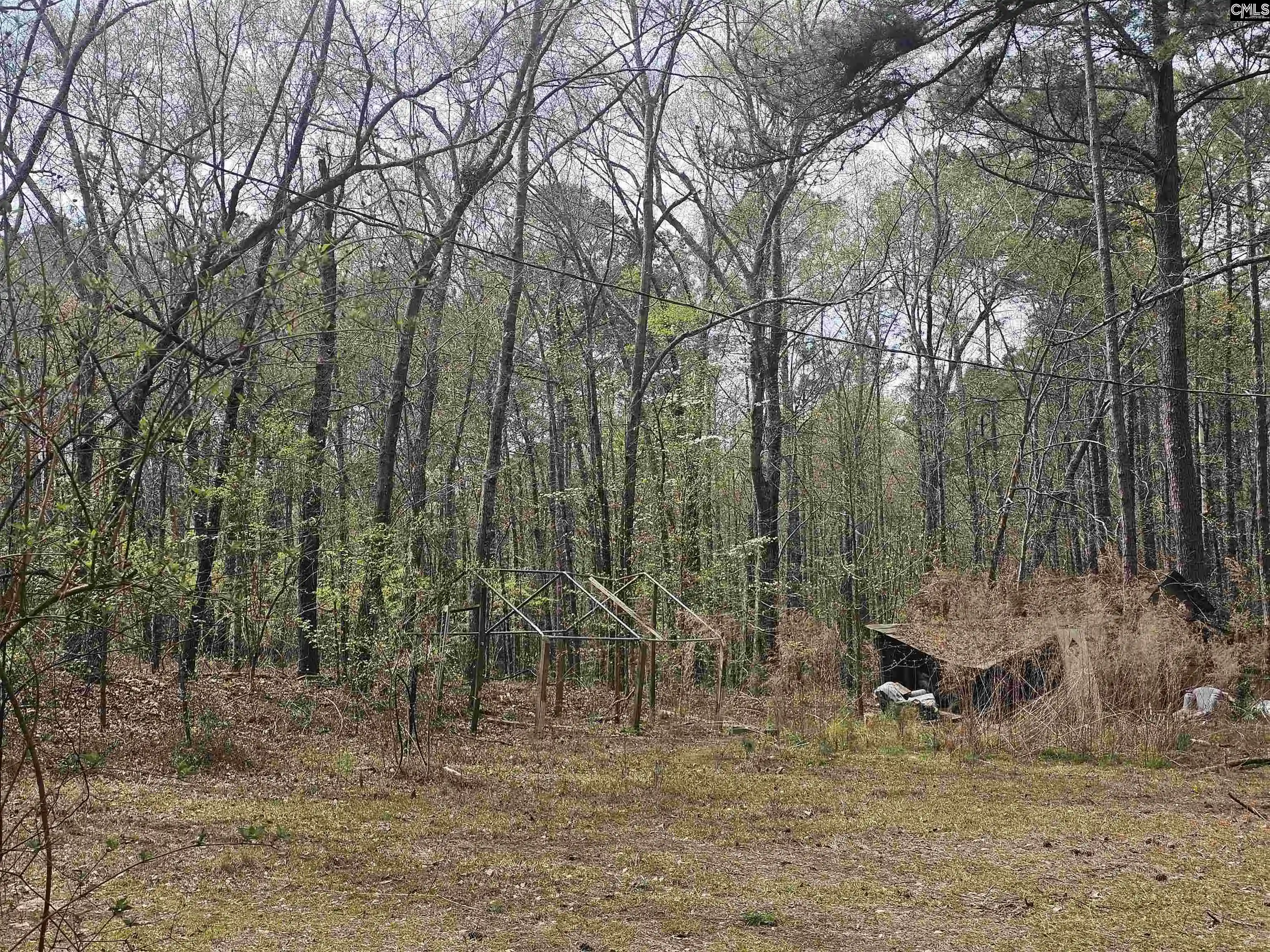 Photo 4 of Land for sale at 149 Grimes, Hopkins, SC 29061 | MLS# 629822 | Listing updated on 2026-08-01