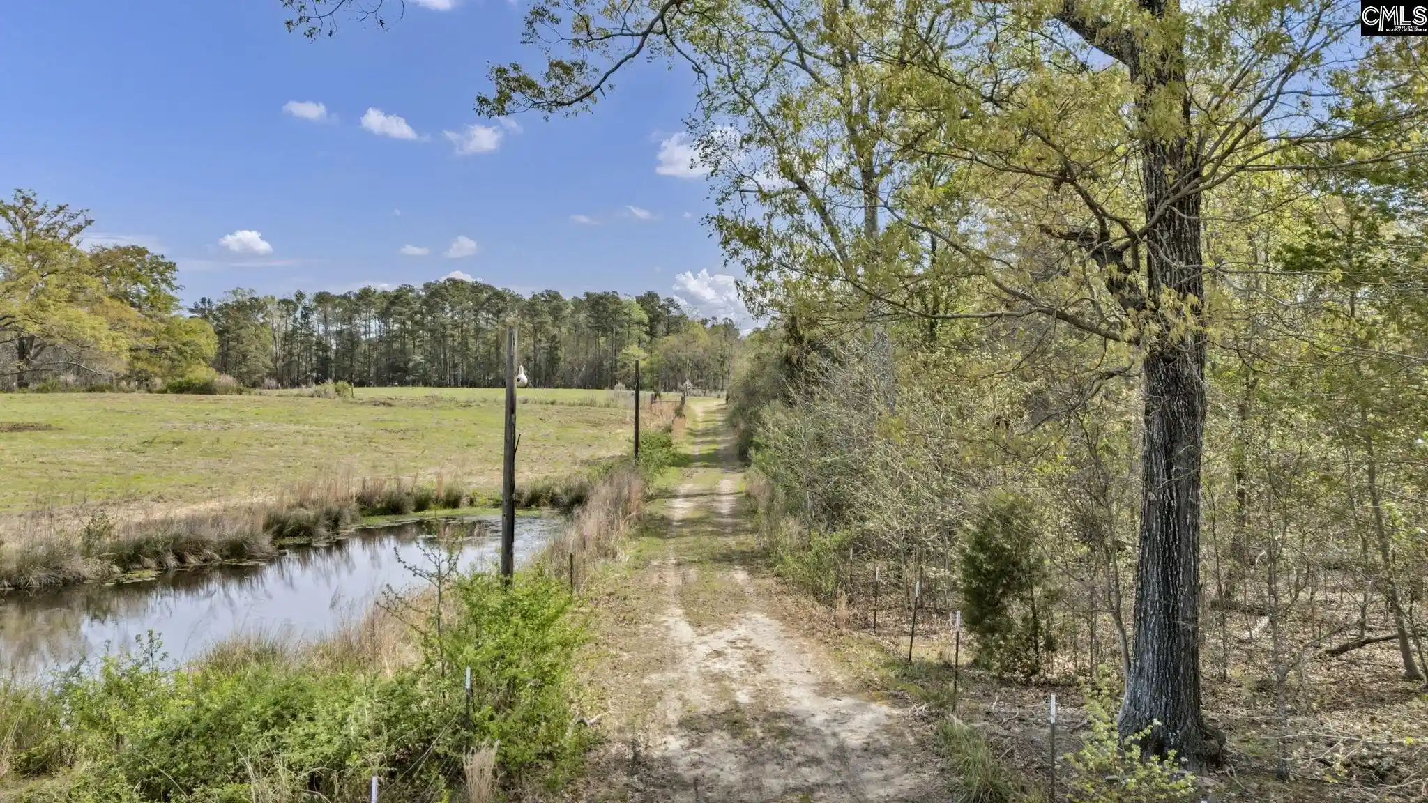 Photo 3 of Land for sale at 421 & 0 Shore, Gilbert, SC 29054 | MLS# 629845 | Listing updated on 2026-08-26