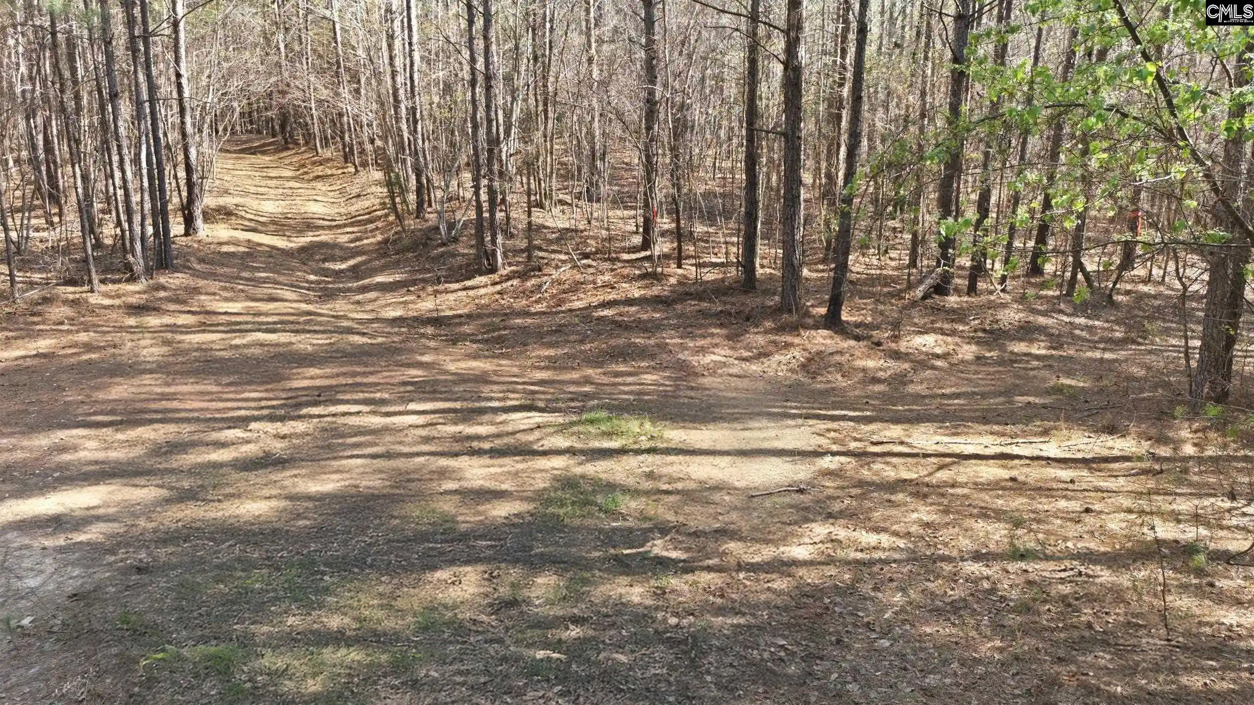 3rd image of 0 S S Heyward Brockington, Columbia, SC 29203 | MLS# 629914