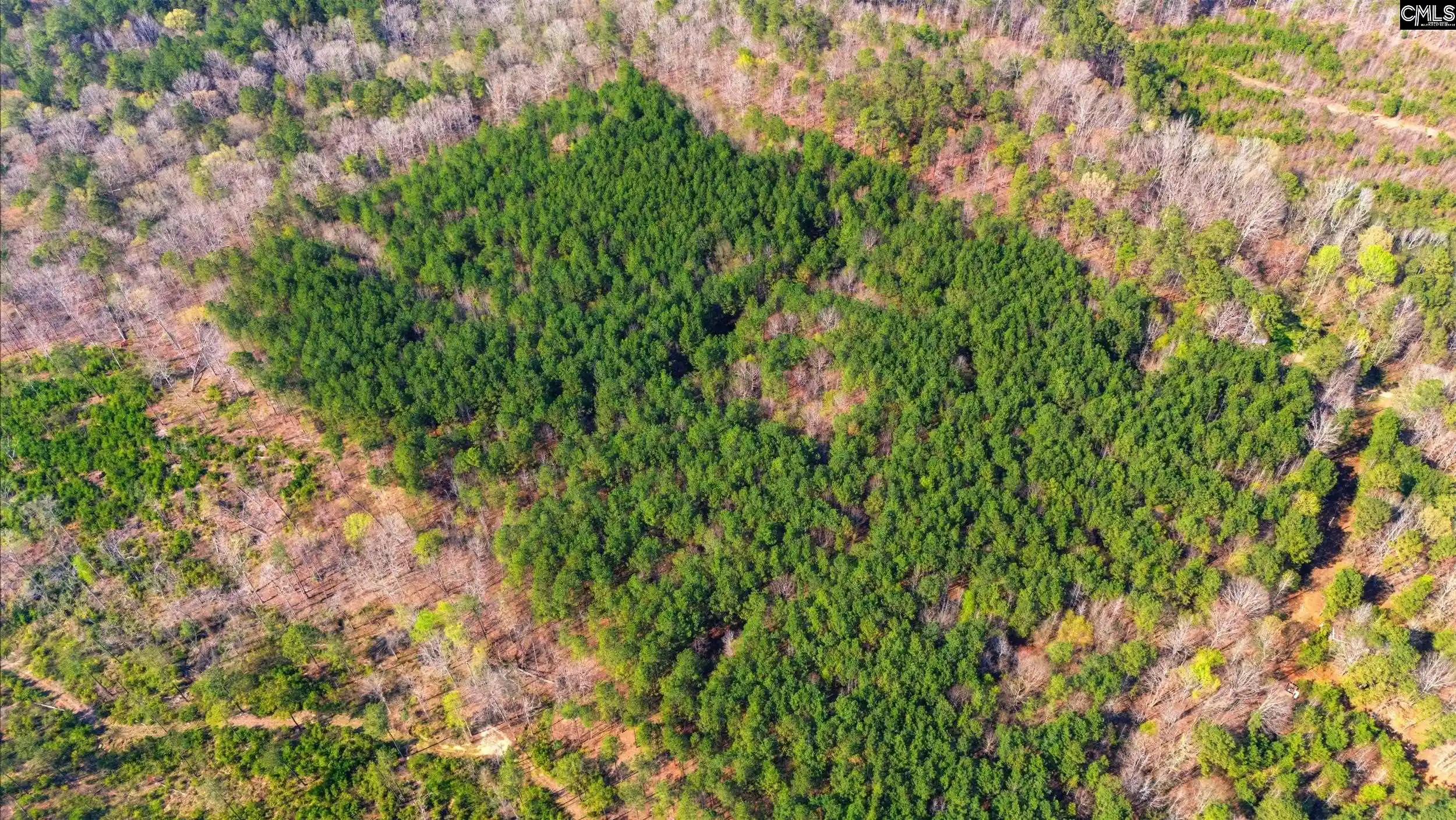 8th image of 0 S S Heyward Brockington, Columbia, SC 29203 | MLS# 629914