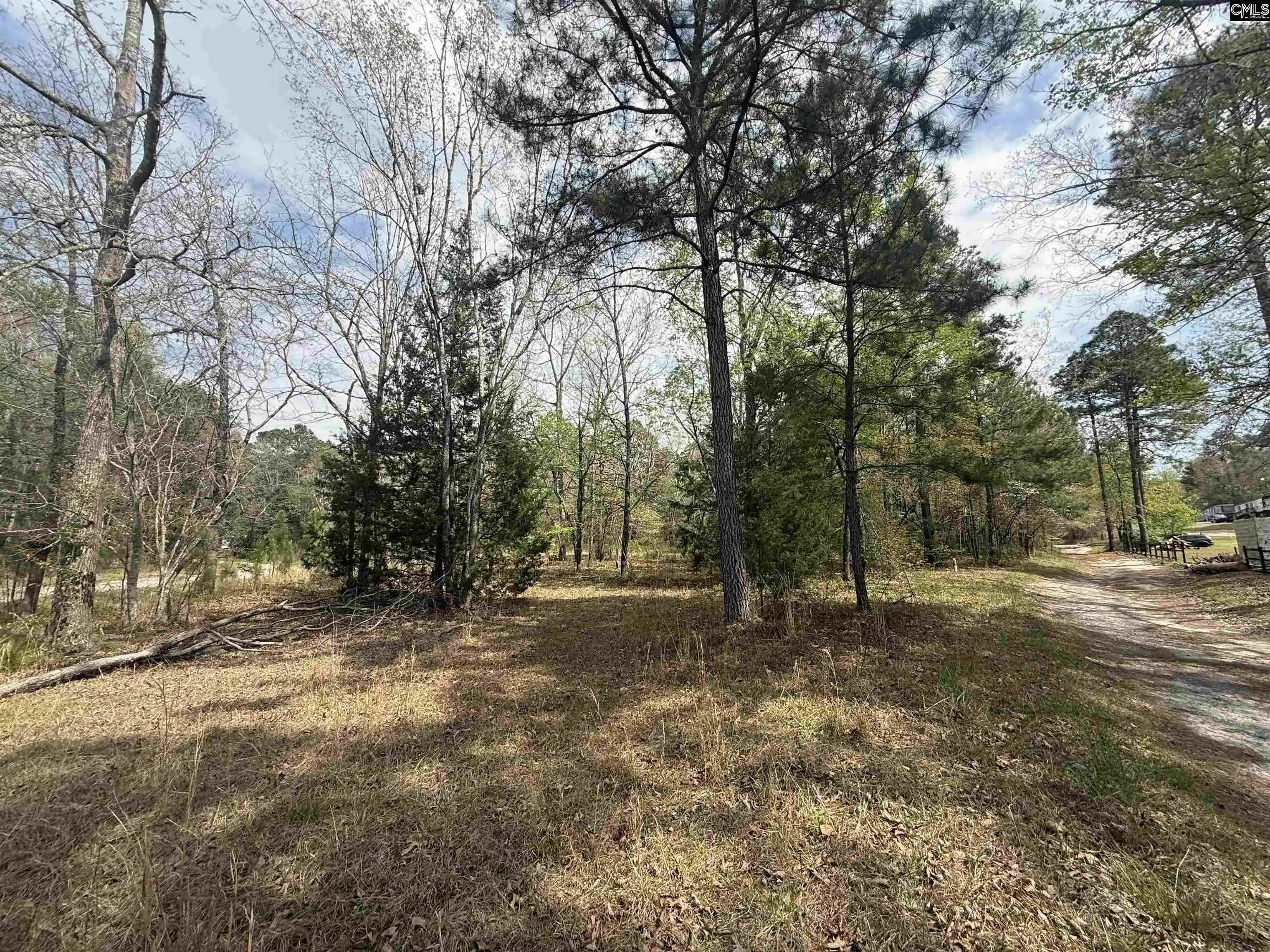 Homes for sale in Gaston, SC | 129 Treemount, Gaston, SC 29053 | MLS# 630281