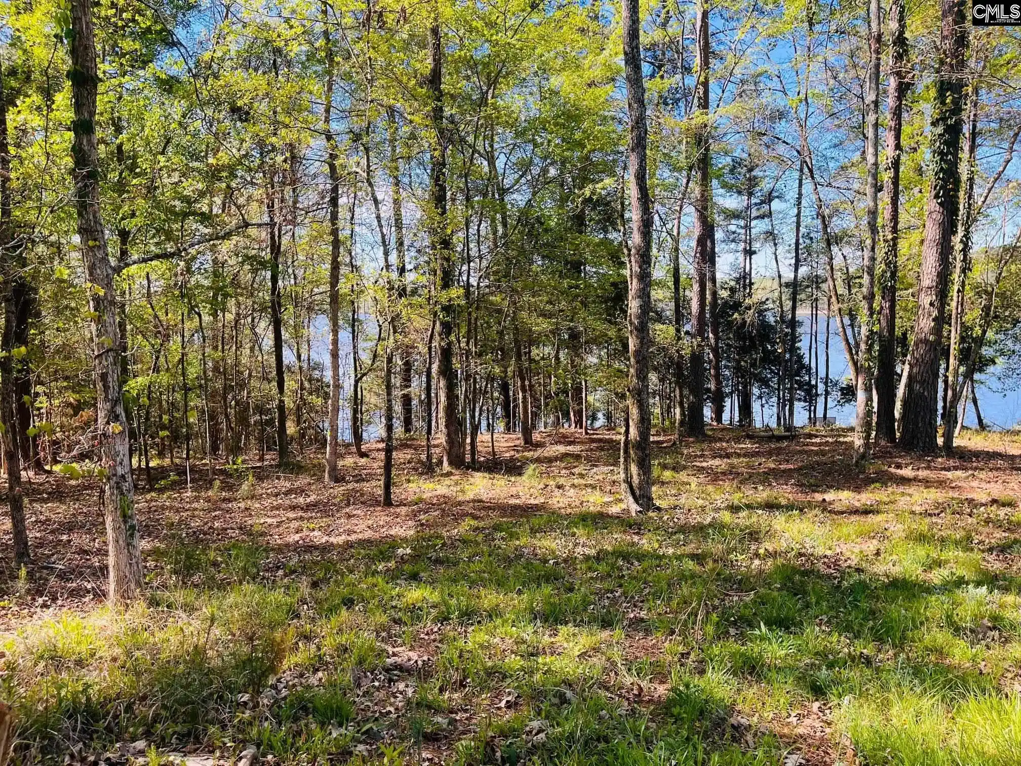 Photo 2 of Land for sale at 0 Lands End, Prosperity, SC 29127 | MLS# 630334 | Listing updated on 2026-03-31