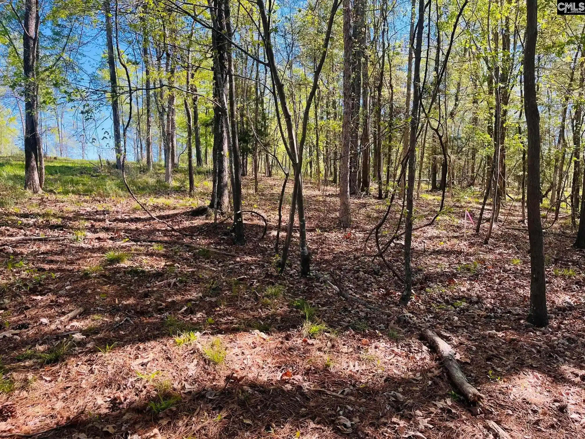 Photo 3 of Land for sale at 0 Lands End, Prosperity, SC 29127 | MLS# 630334 | Listing updated on 2026-10-02