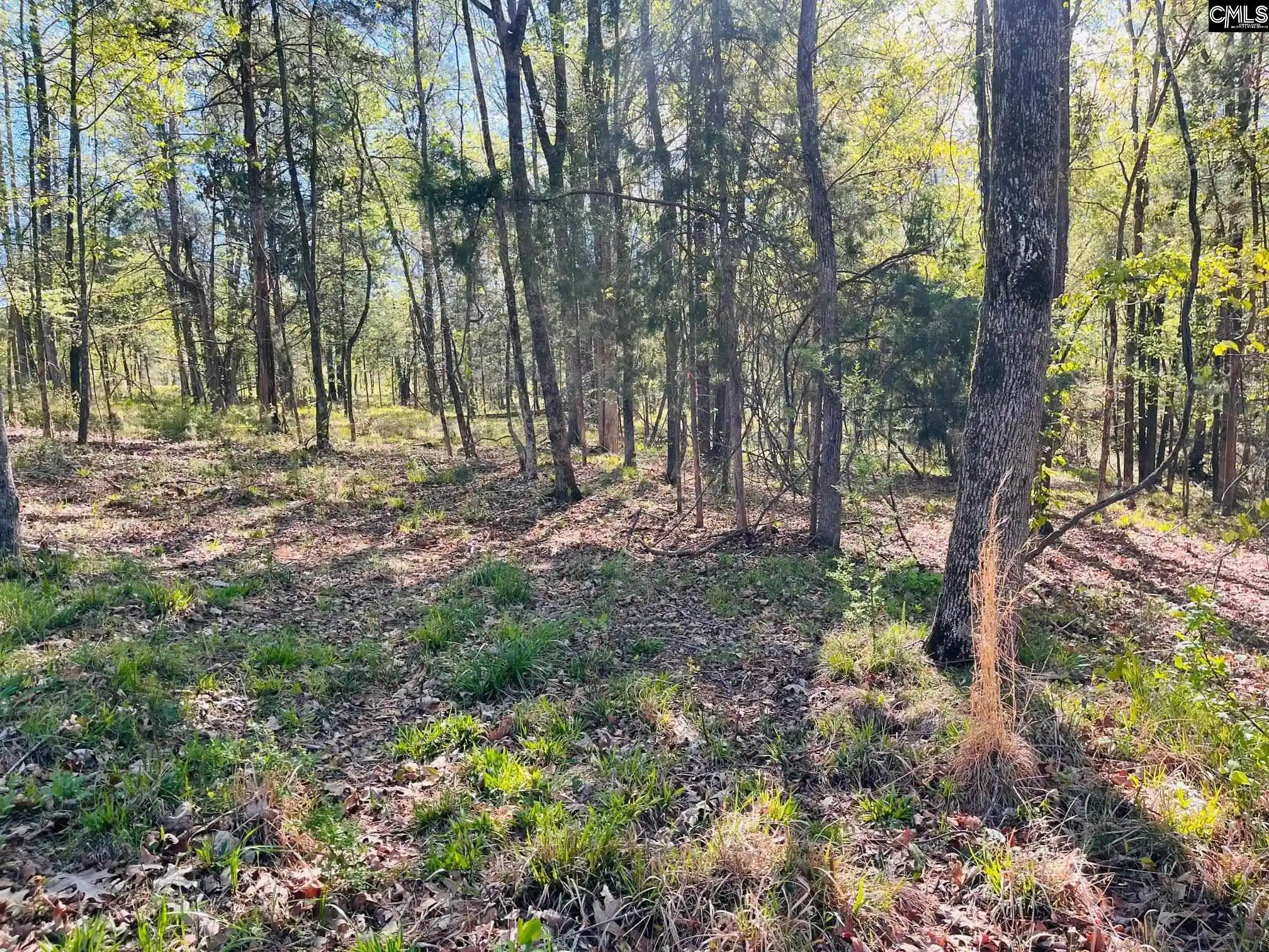 Photo 3 of Land for sale at 0 Lands End, Prosperity, SC 29127 | MLS# 630334 | Listing updated on 2026-10-02