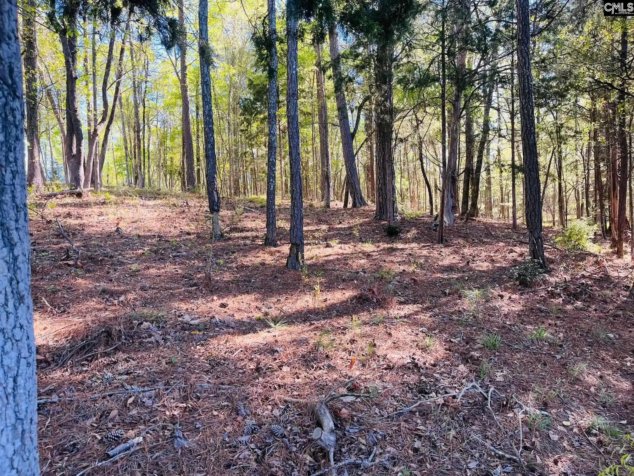 Photo 4 of Land for sale at 0 Lands End, Prosperity, SC 29127 | MLS# 630334 | Listing updated on 2026-10-02