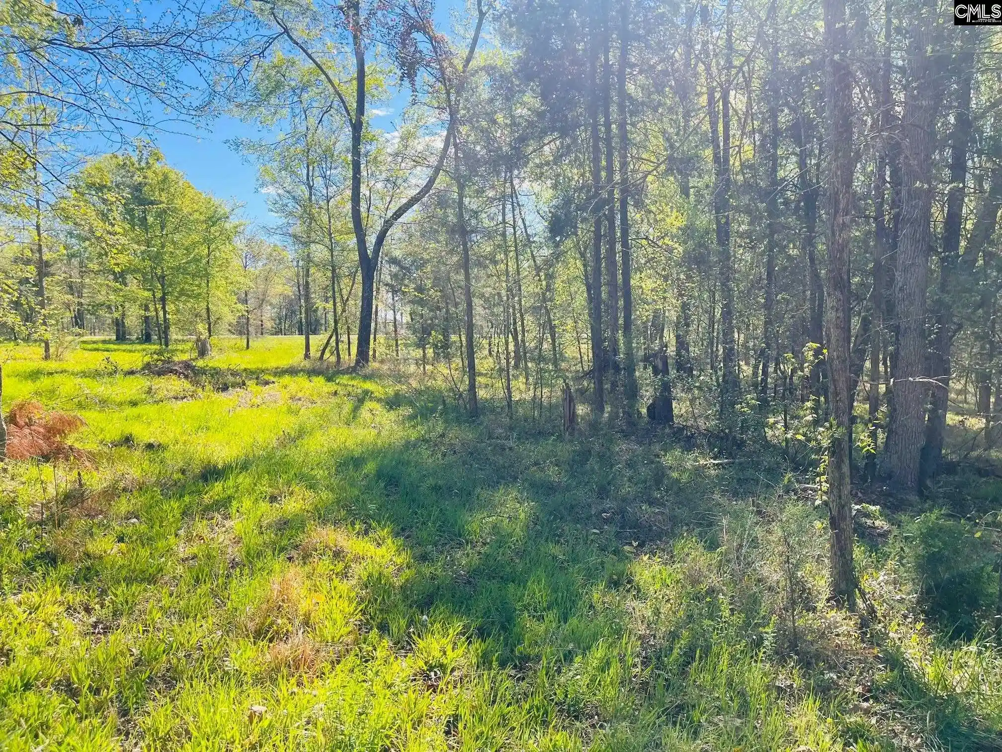Photo 21 of Land for sale at 0 Lands End, Prosperity, SC 29127 | MLS# 630334 | Listing updated on 2026-03-31