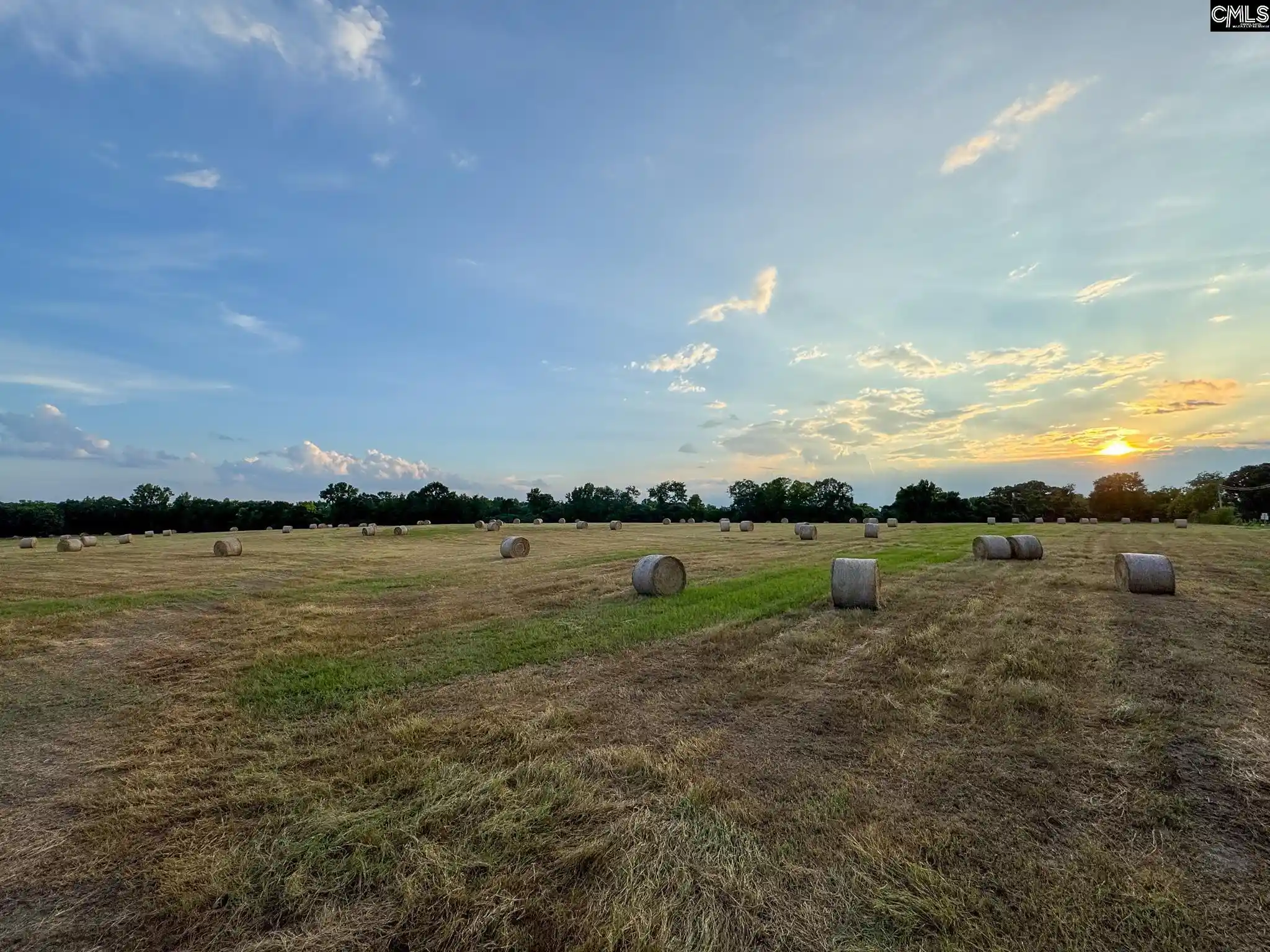 Homes for sale in Batesburg, SC | 0 Shealy #Lot 3, Batesburg, SC 29006 | MLS# 630658