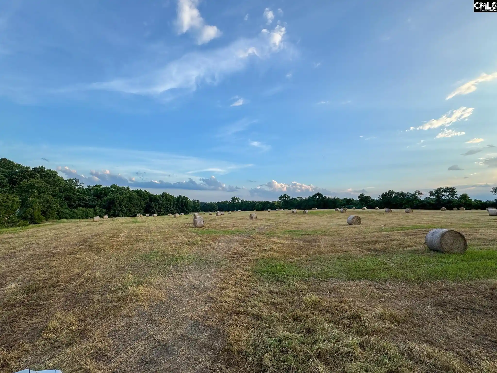 Homes for sale in Batesburg, SC | 0 Shealy #Lot 3, Batesburg, SC 29006 | MLS# 630658