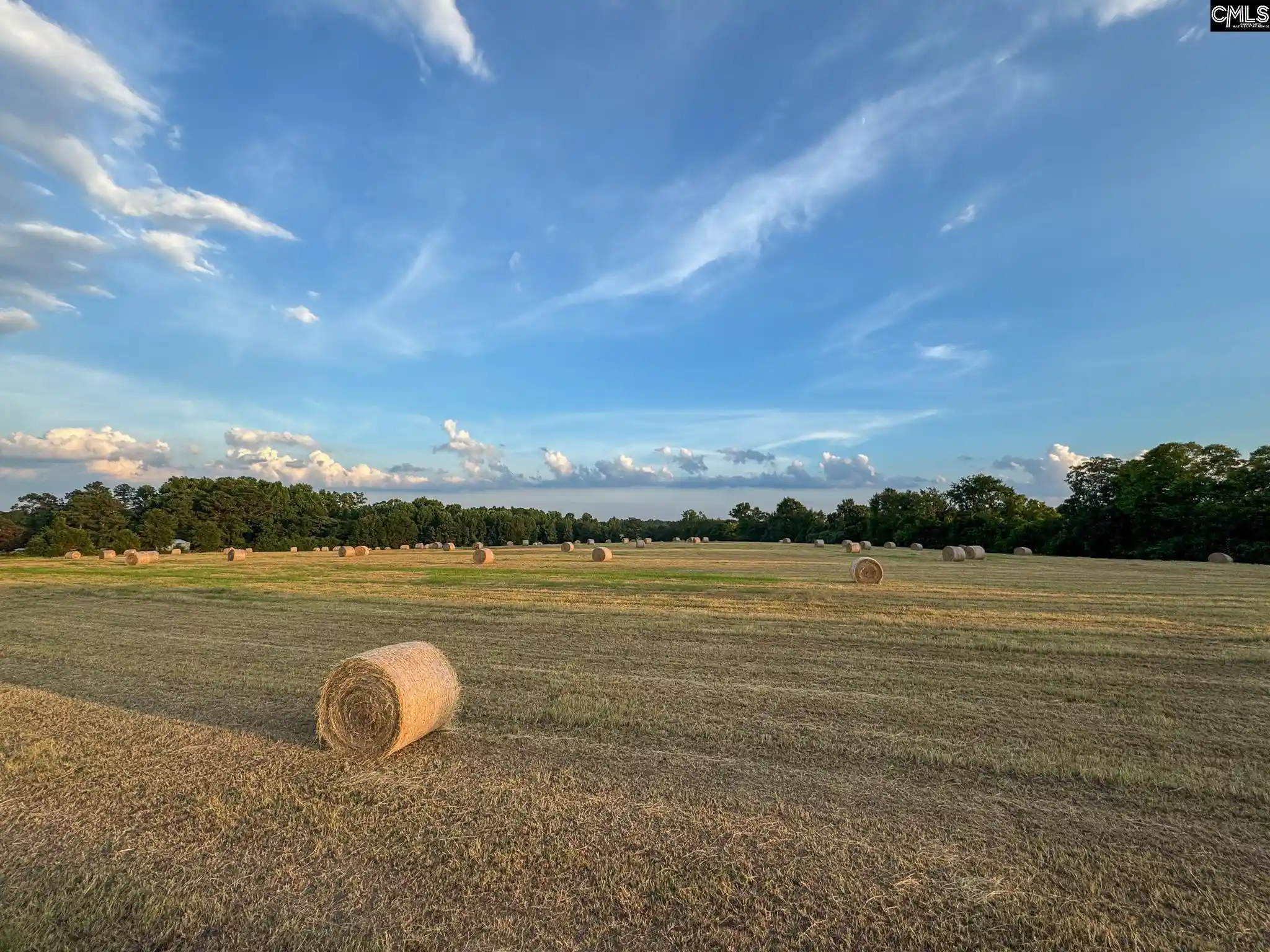 Homes for sale in Batesburg, SC | 0 Shealy #Lot 7, Batesburg, SC 29006 | MLS# 630665