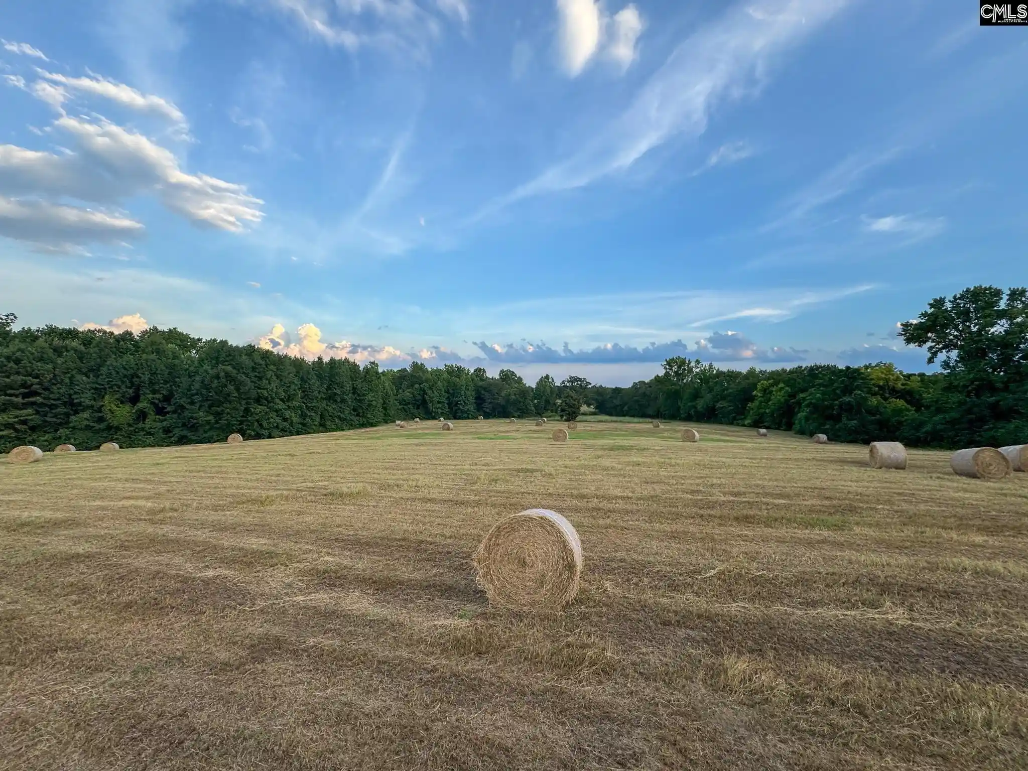 Homes for sale in Batesburg, SC | 0 Shealy #Lot 7, Batesburg, SC 29006 | MLS# 630665