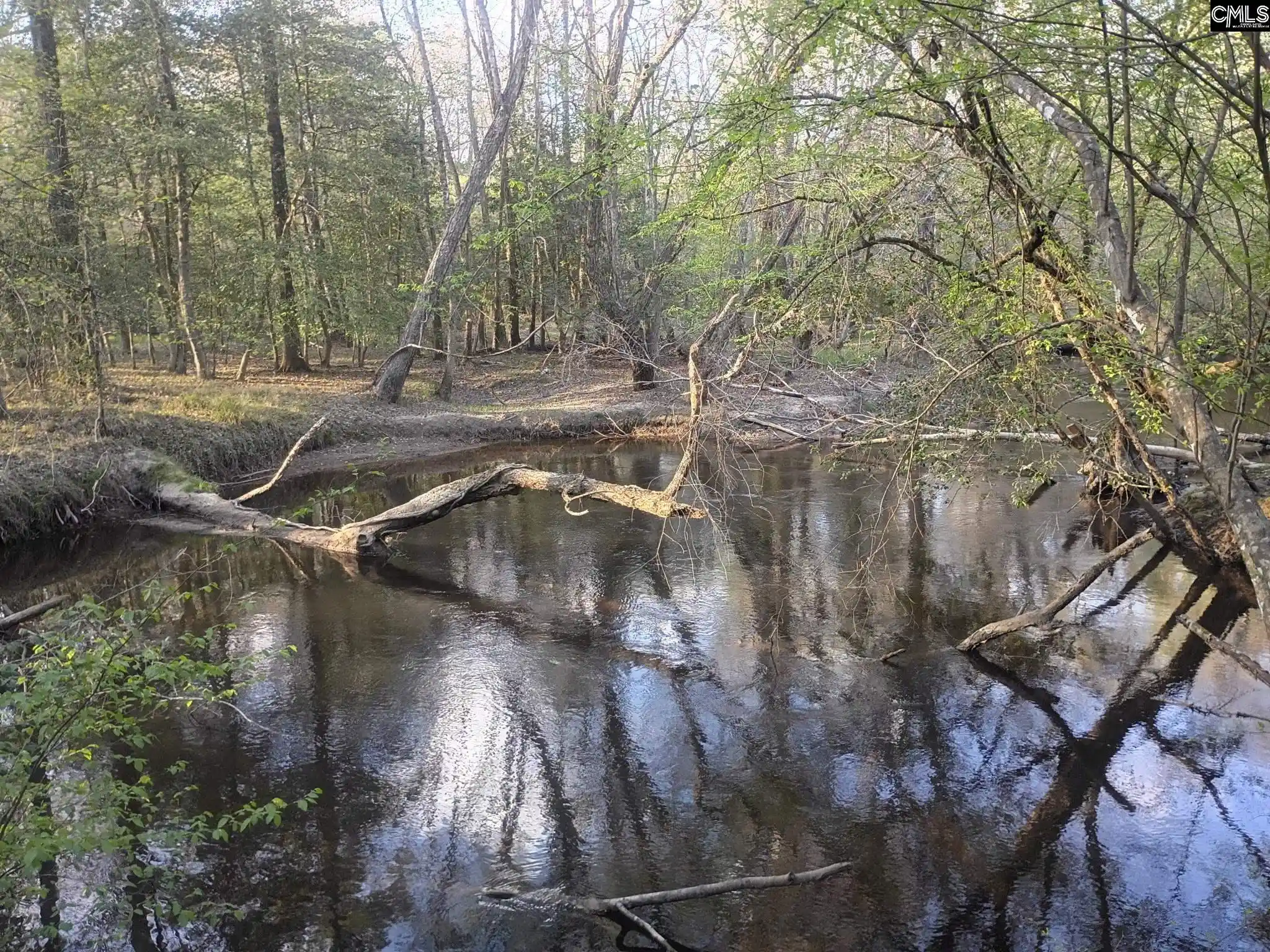 1st image of 3244 Hwy 1, Cassatt, SC 29032 | MLS# 630711