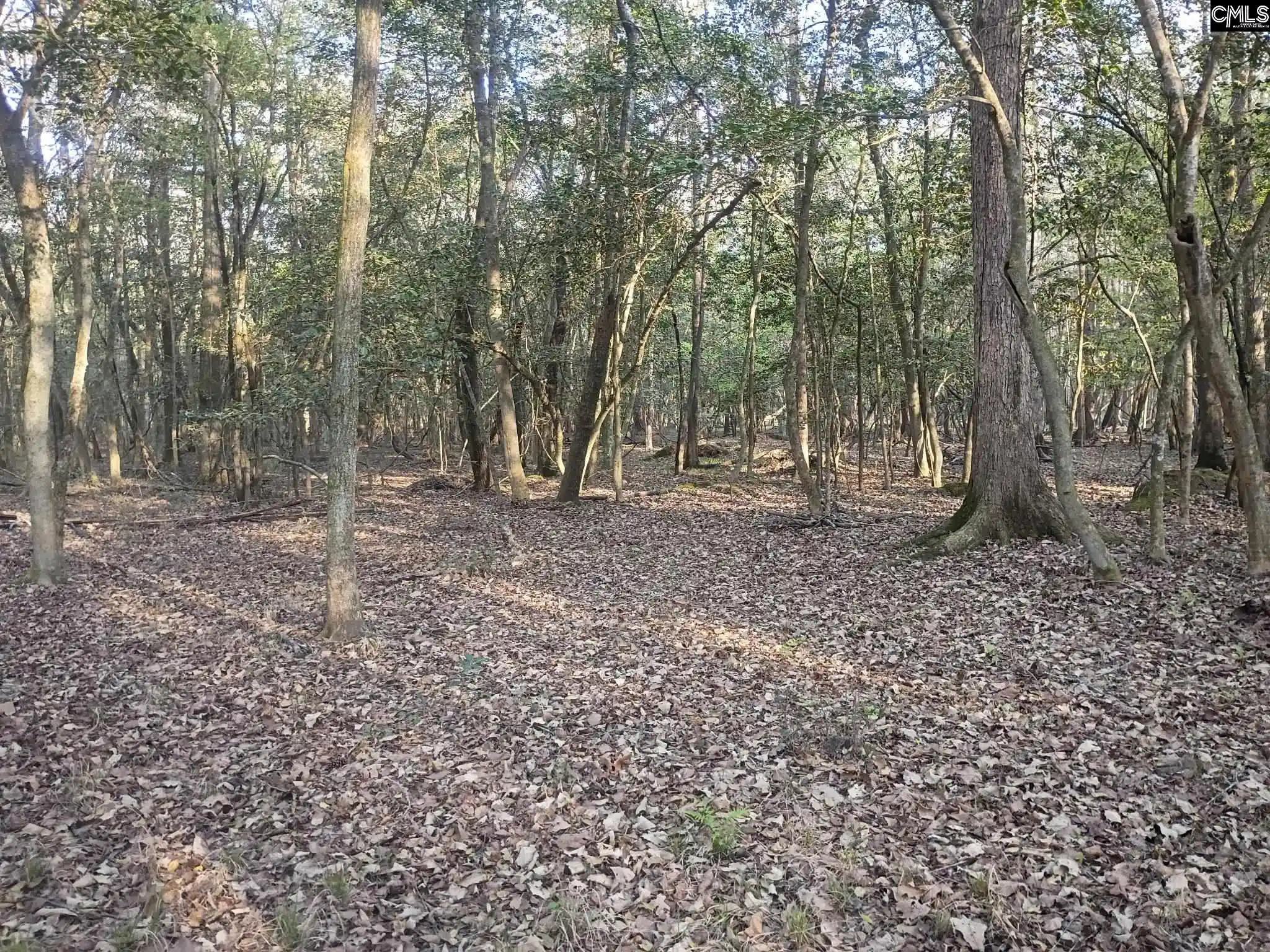 2nd image of 3244 Hwy 1, Cassatt, SC 29032 | MLS# 630711