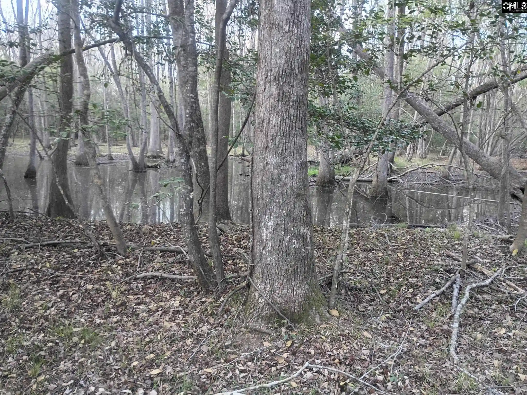 3rd image of 3244 Hwy 1, Cassatt, SC 29032 | MLS# 630711