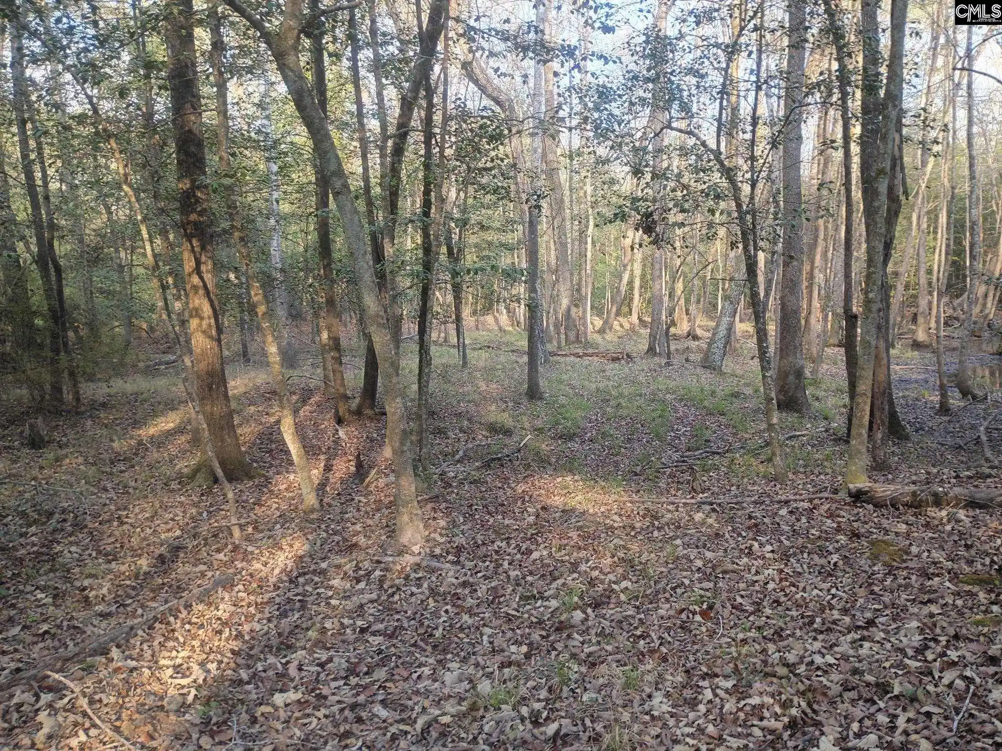 4th image of 3244 Hwy 1, Cassatt, SC 29032 | MLS# 630711