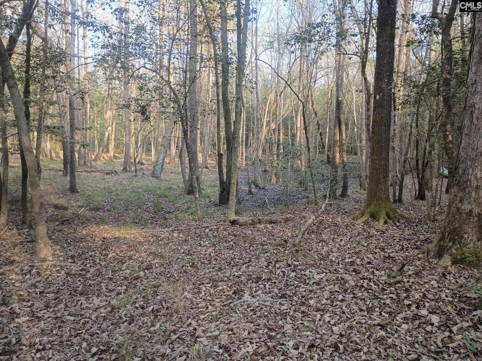 5th image of 3244 Hwy 1, Cassatt, SC 29032 | MLS# 630711