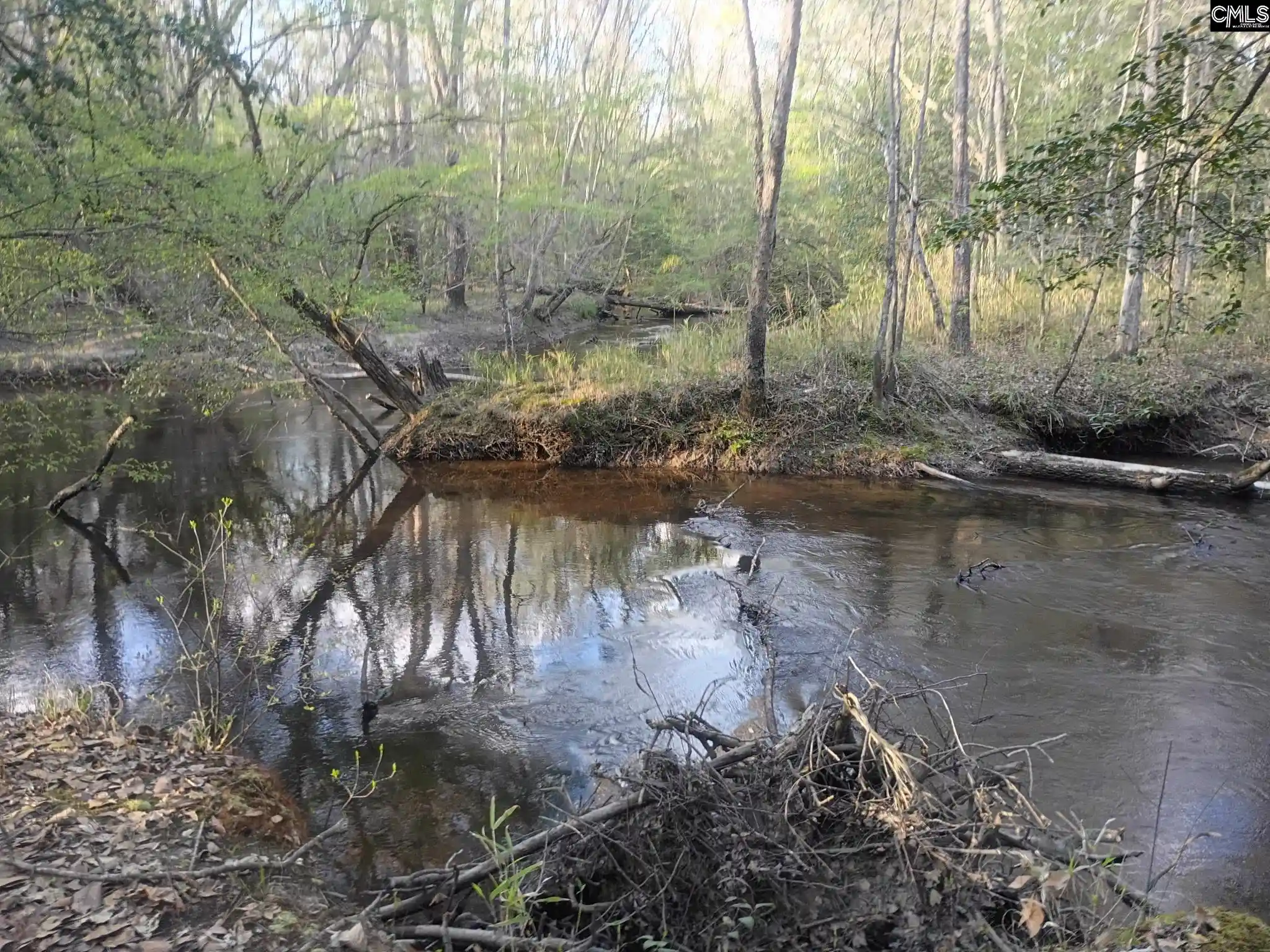 27th image of 3244 Hwy 1, Cassatt, SC 29032 | MLS# 630711