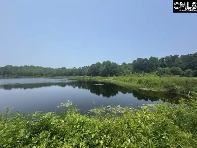 2nd image of Mossborough, Lexington, SC 29073 | MLS# 630857