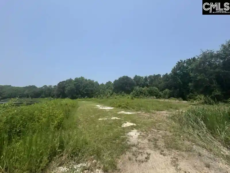 11th image of Mossborough, Lexington, SC 29073 | MLS# 630857