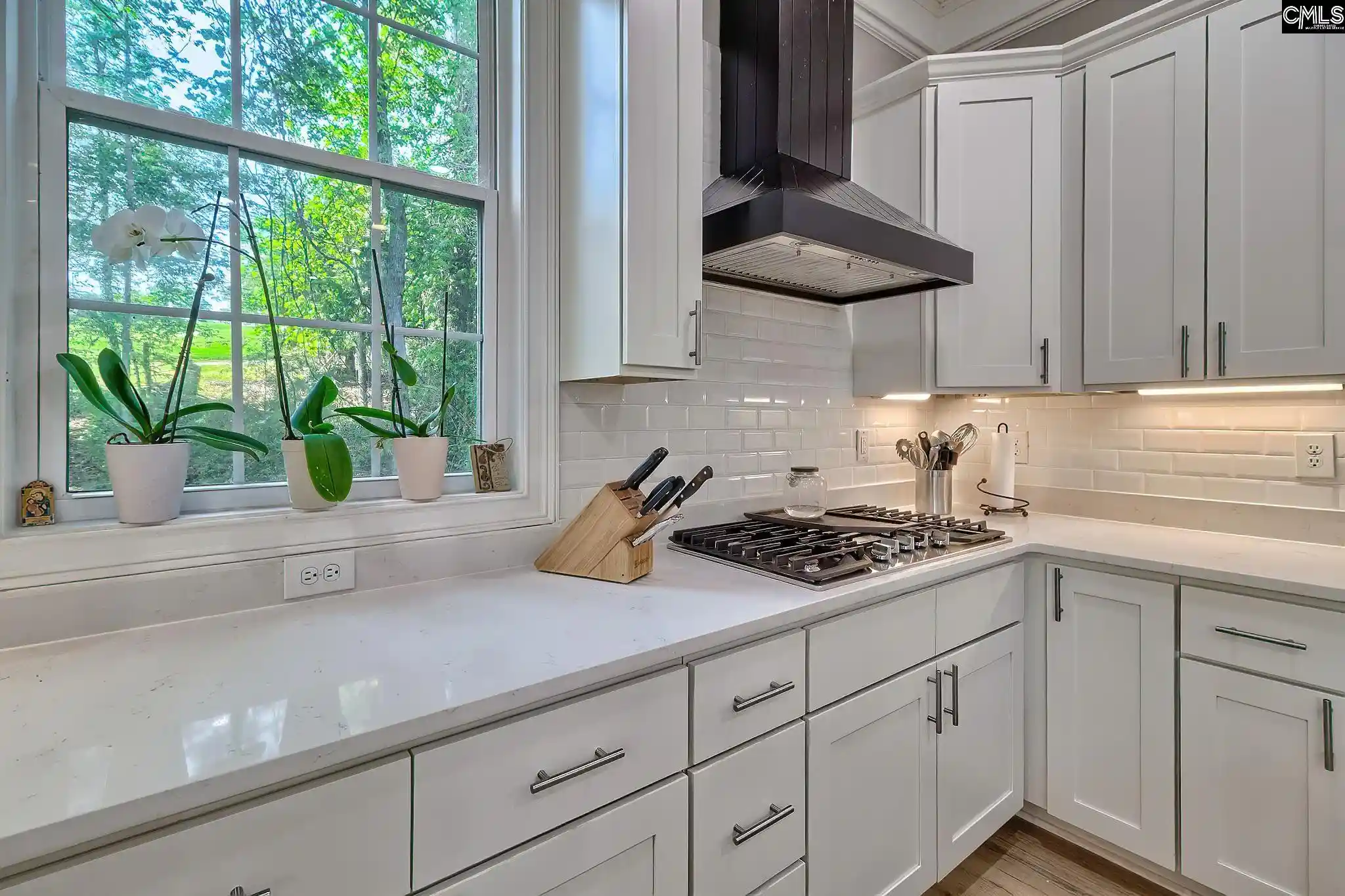 Photo 3 of Single family home for sale at 112 Bay Pointe, Chapin, SC 29036 | MLS# 631223 | Listing updated on 2026-08-28