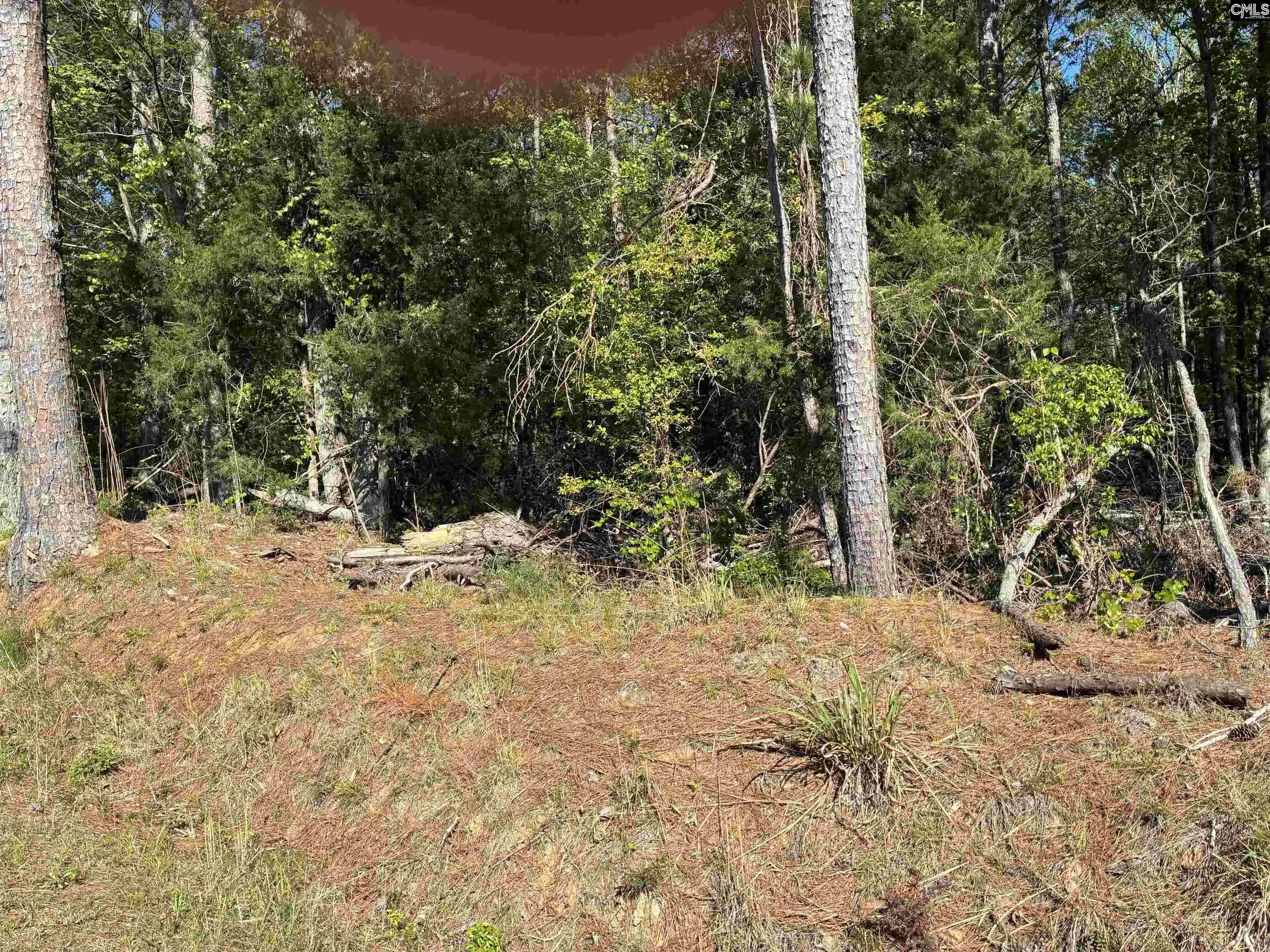 Photo 2 of Land for sale at 0 Mud Creek Road, Newberry, SC 29108 | MLS# 631274 | Listing updated on 2026-04-10