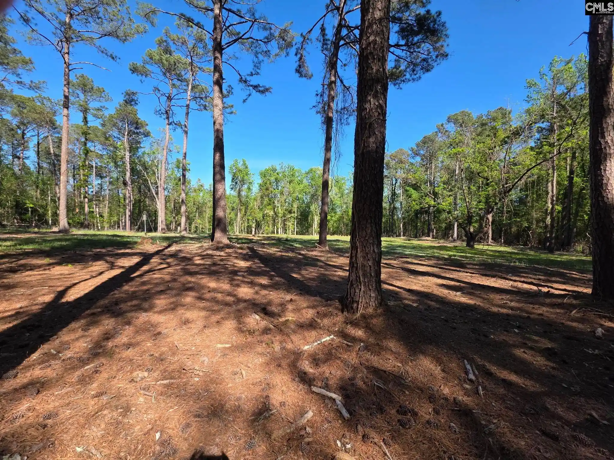 Photo 3 of Land for sale at 0 Mud Creek Road, Newberry, SC 29108 | MLS# 631274 | Listing updated on 2026-04-10