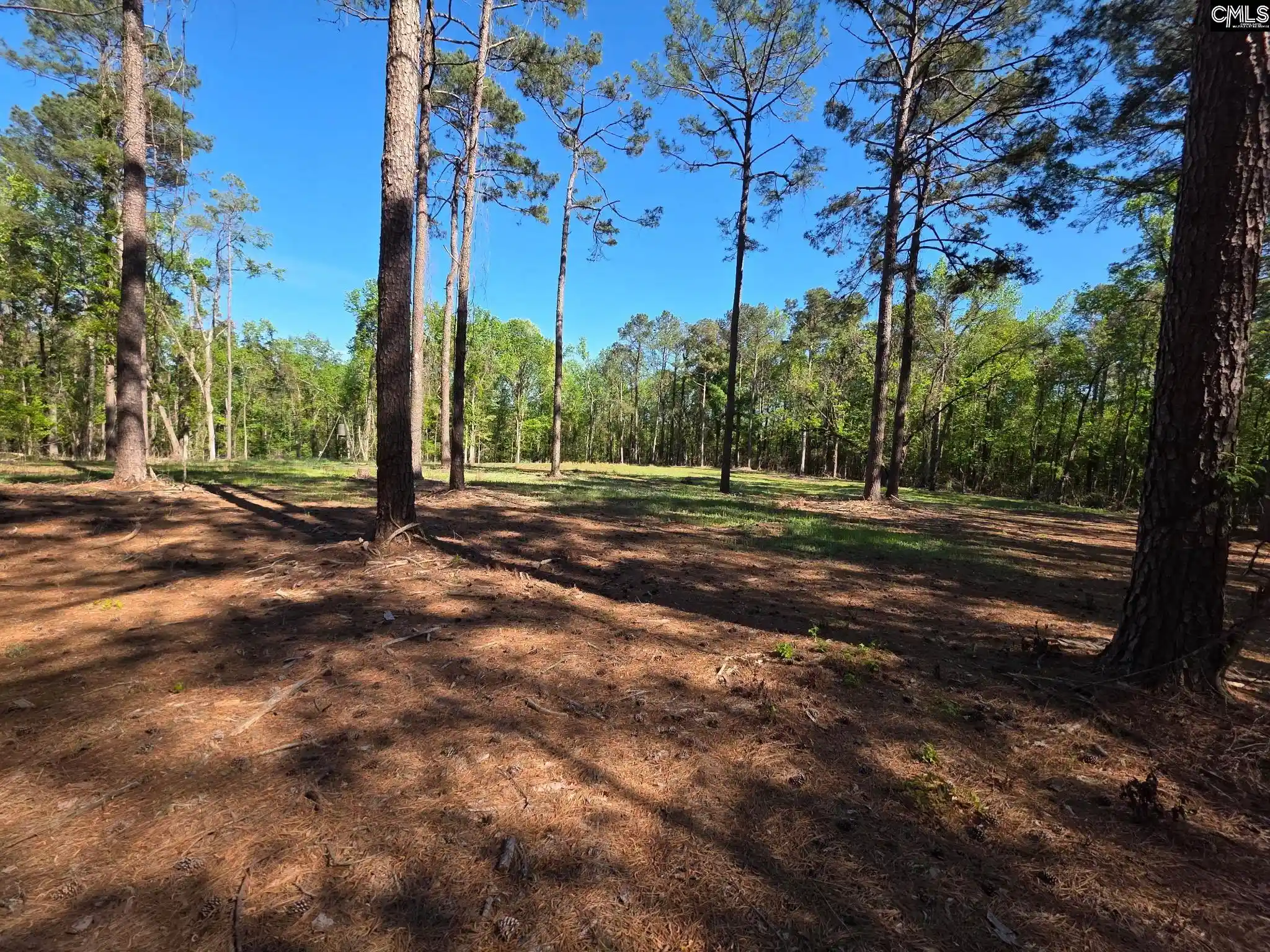 Photo 4 of Land for sale at 0 Mud Creek Road, Newberry, SC 29108 | MLS# 631274 | Listing updated on 2026-04-10