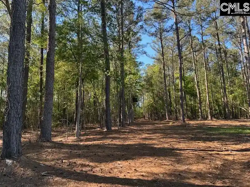 Photo 5 of Land for sale at 0 Mud Creek Road, Newberry, SC 29108 | MLS# 631274 | Listing updated on 2026-04-10