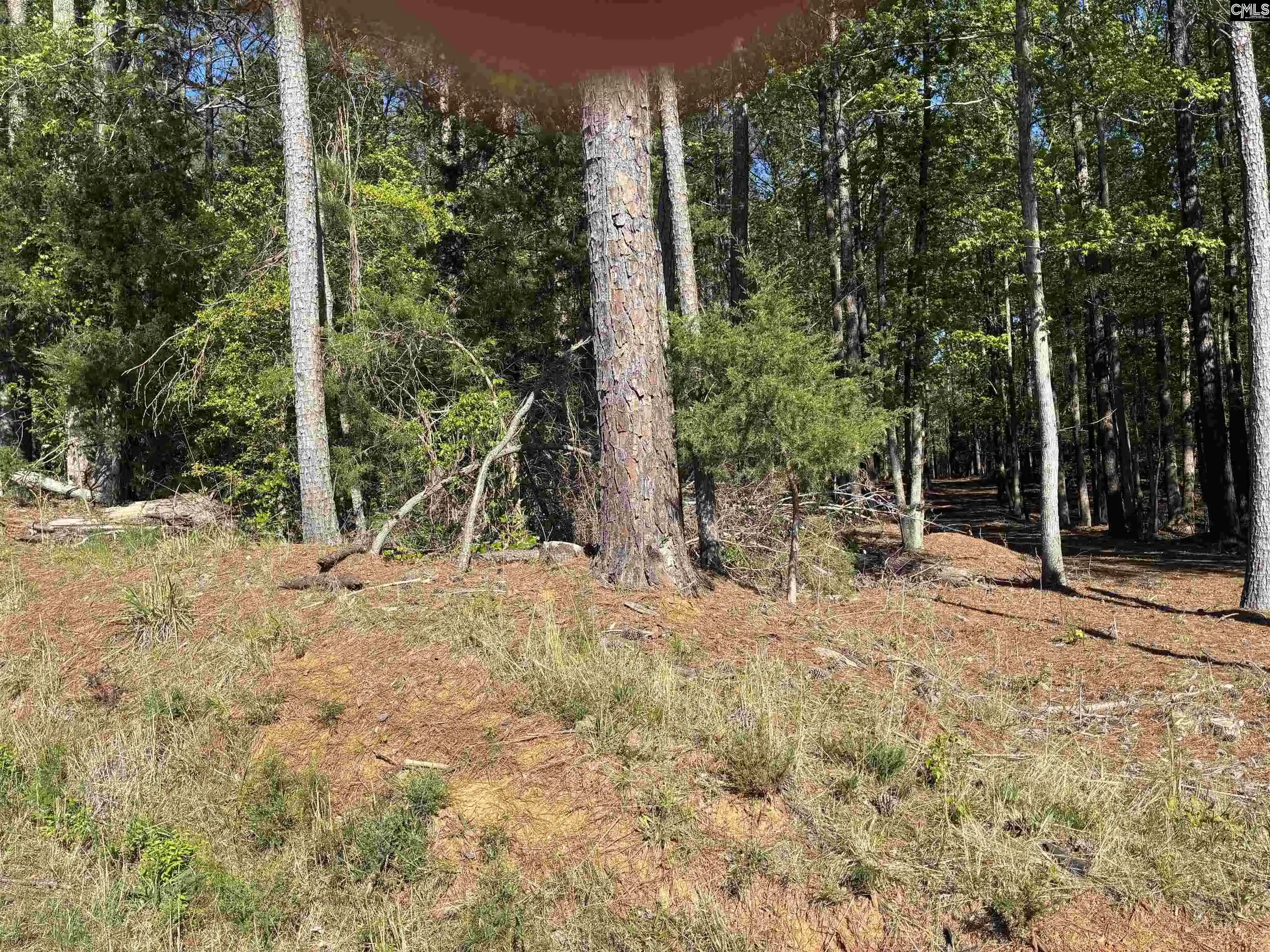Photo 10 of Land for sale at 0 Mud Creek Road, Newberry, SC 29108 | MLS# 631274 | Listing updated on 2026-04-10