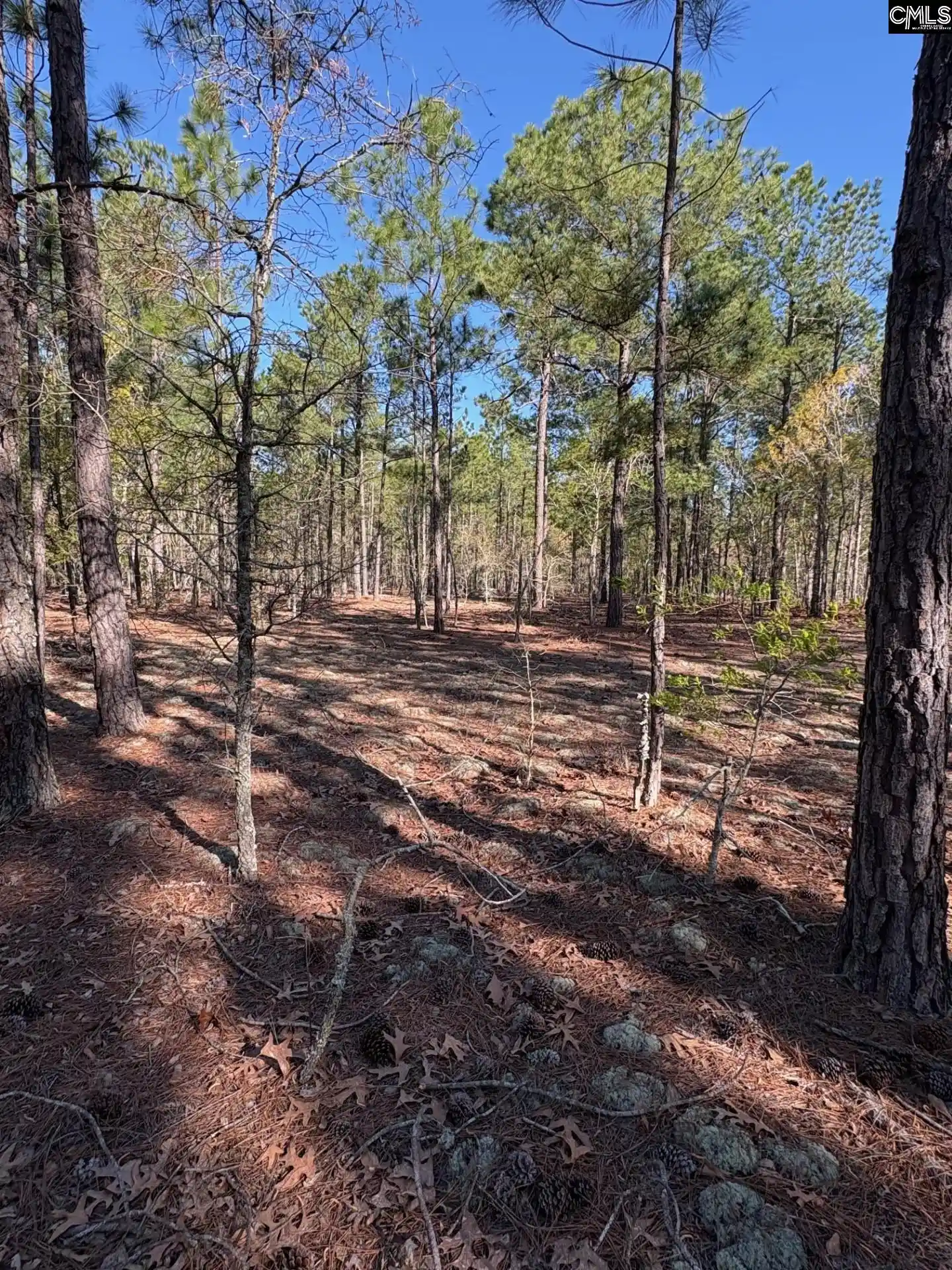 Homes for sale in Darlington, SC | 0 0 East Old Camden Hwy, Darlington, SC 29550 | MLS# 631387