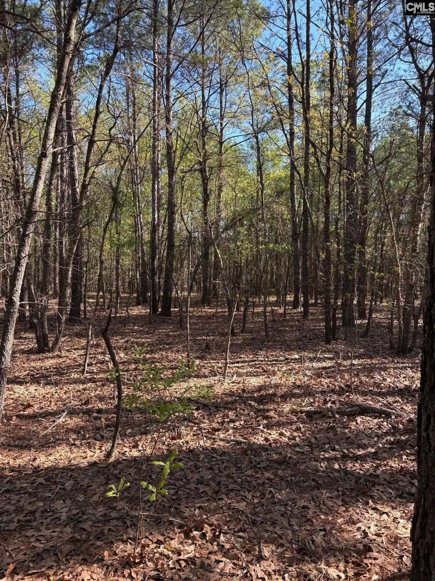Homes for sale in Darlington, SC | 0 0 East Old Camden Hwy, Darlington, SC 29550 | MLS# 631387