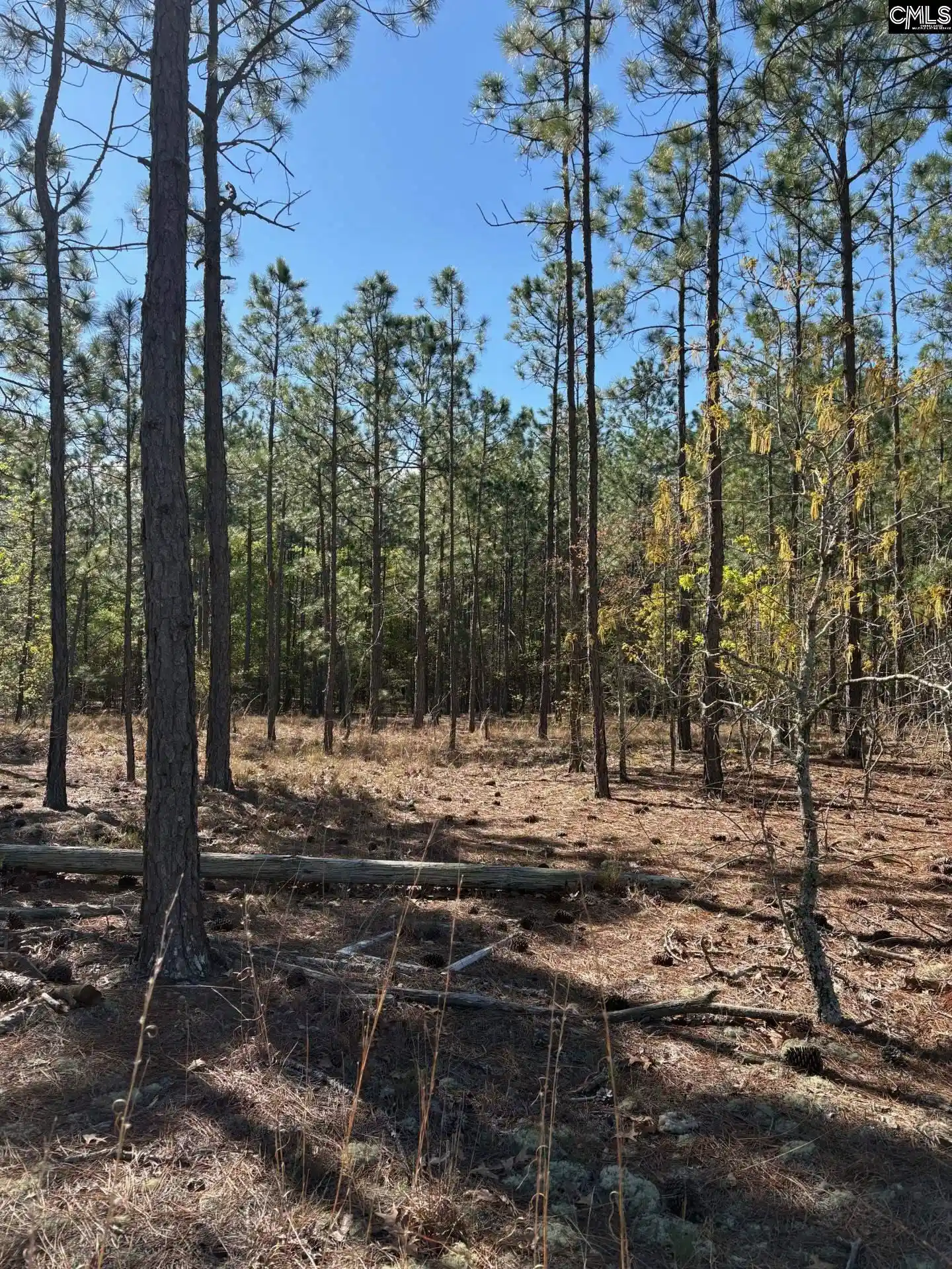 Homes for sale in Darlington, SC | 0 0 East Old Camden Hwy, Darlington, SC 29550 | MLS# 631387