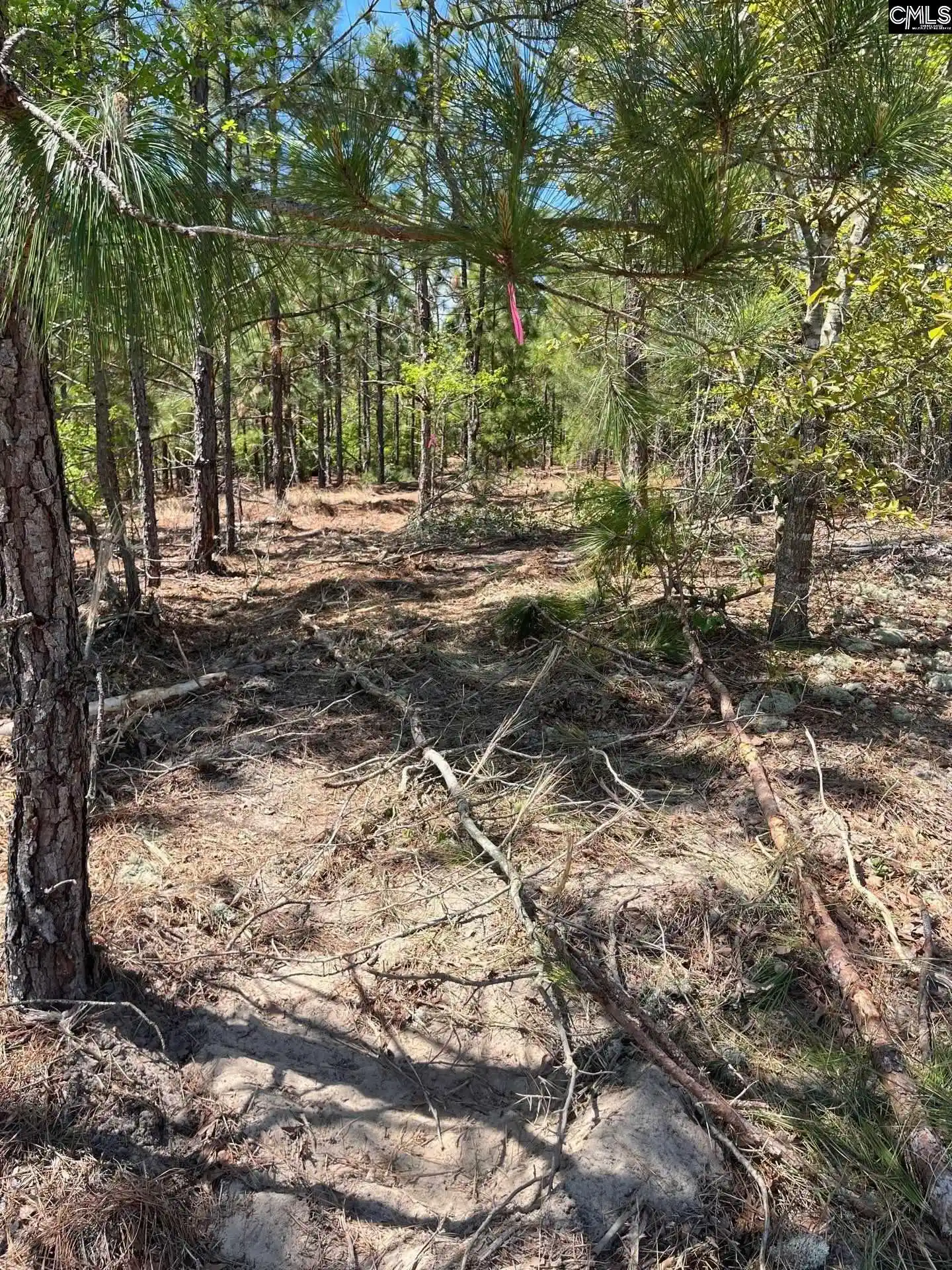 1st image of Bdf 1 Beaverdam, Cassatt, SC 29032 | MLS# 632007