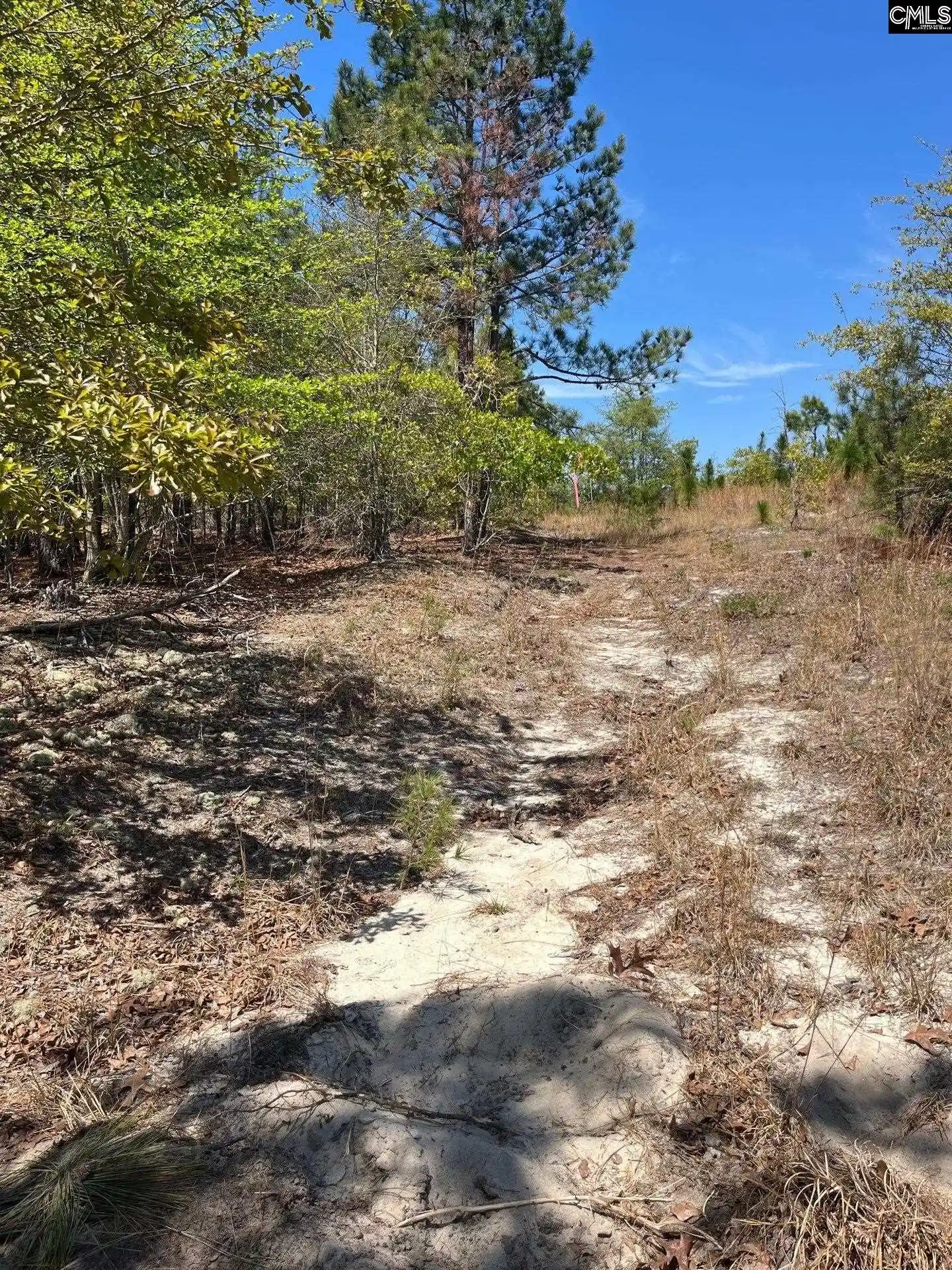 2nd image of Bdf 1 Beaverdam, Cassatt, SC 29032 | MLS# 632007