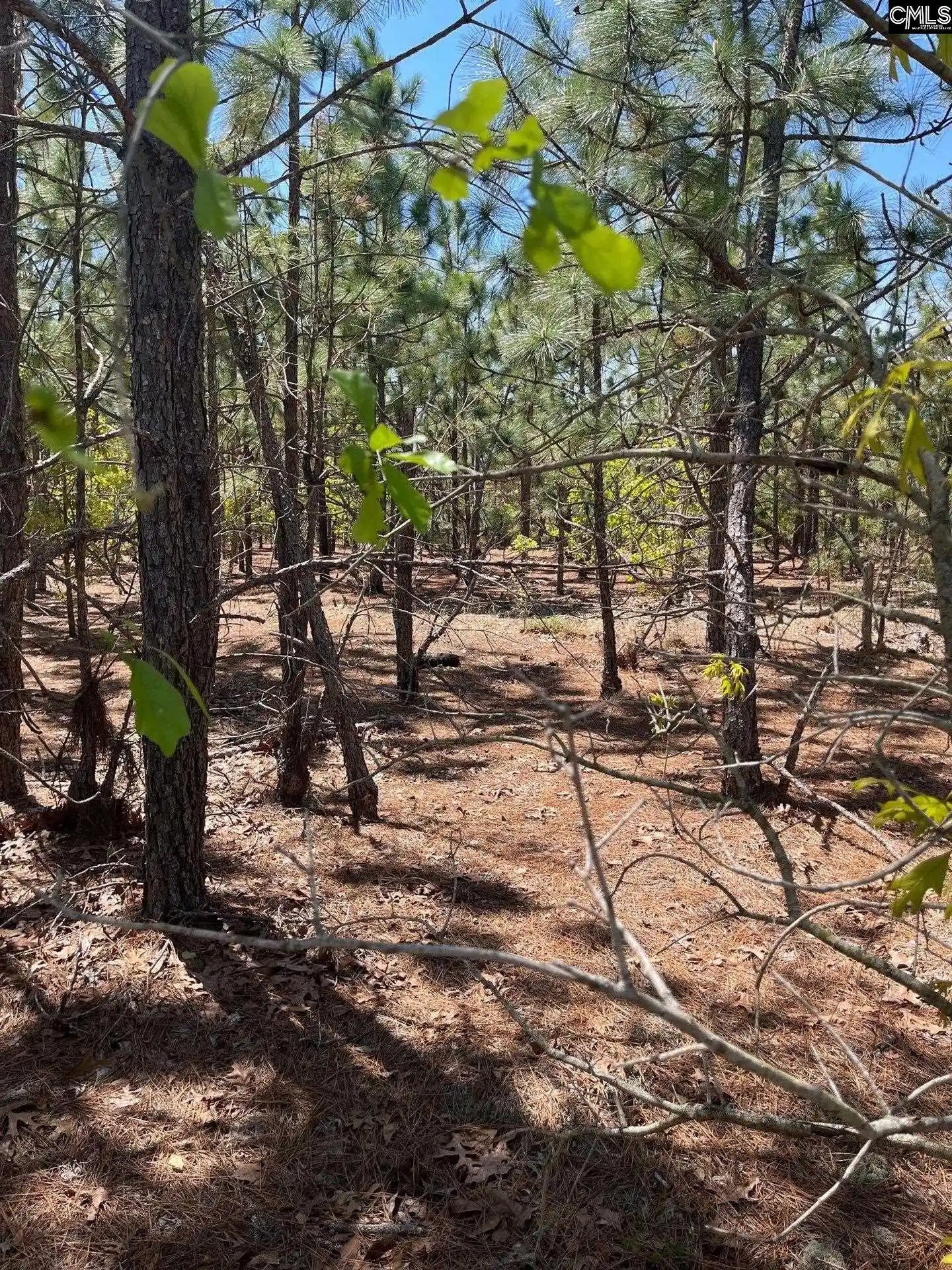3rd image of Bdf 1 Beaverdam, Cassatt, SC 29032 | MLS# 632007