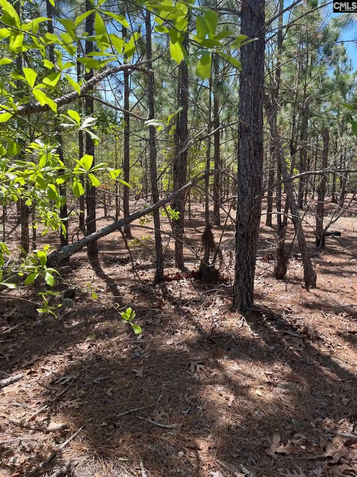 4th image of Bdf 1 Beaverdam, Cassatt, SC 29032 | MLS# 632007