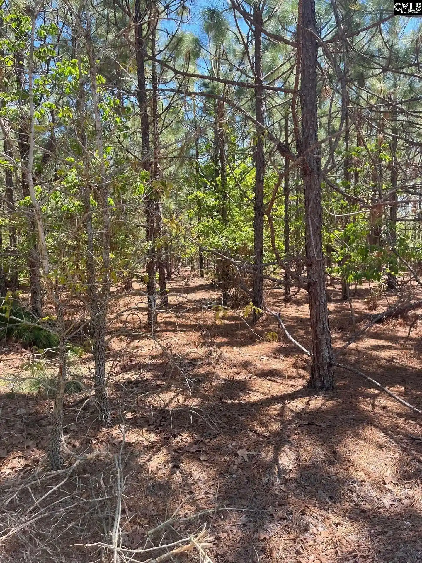Homes for sale in Cassatt, SC | Bdf 2 Beaverdam, Cassatt, SC 29032 | MLS# 632012