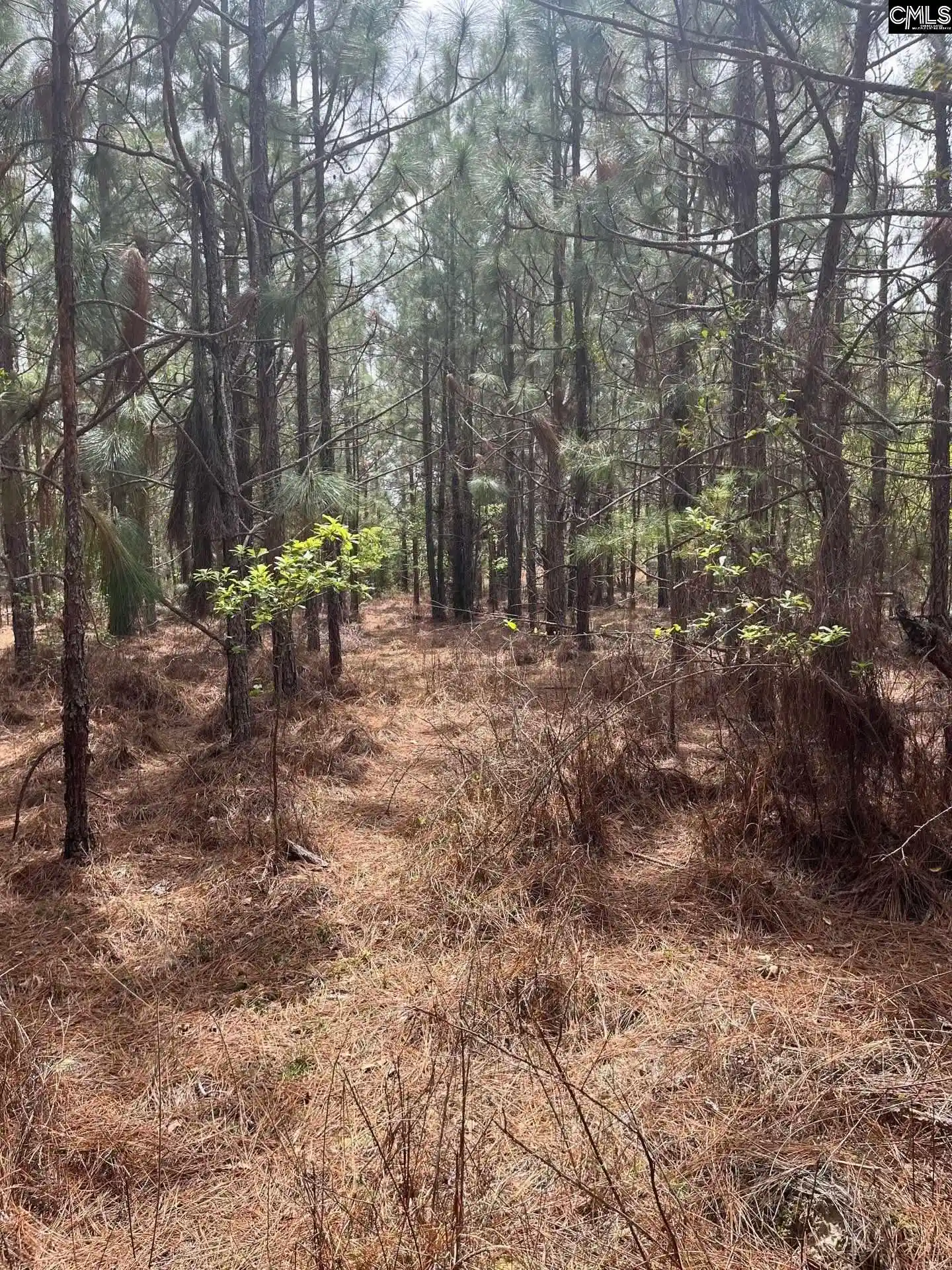 1st image of Bdf 3 Beaverdam, Cassatt, SC 29032 | MLS# 632016