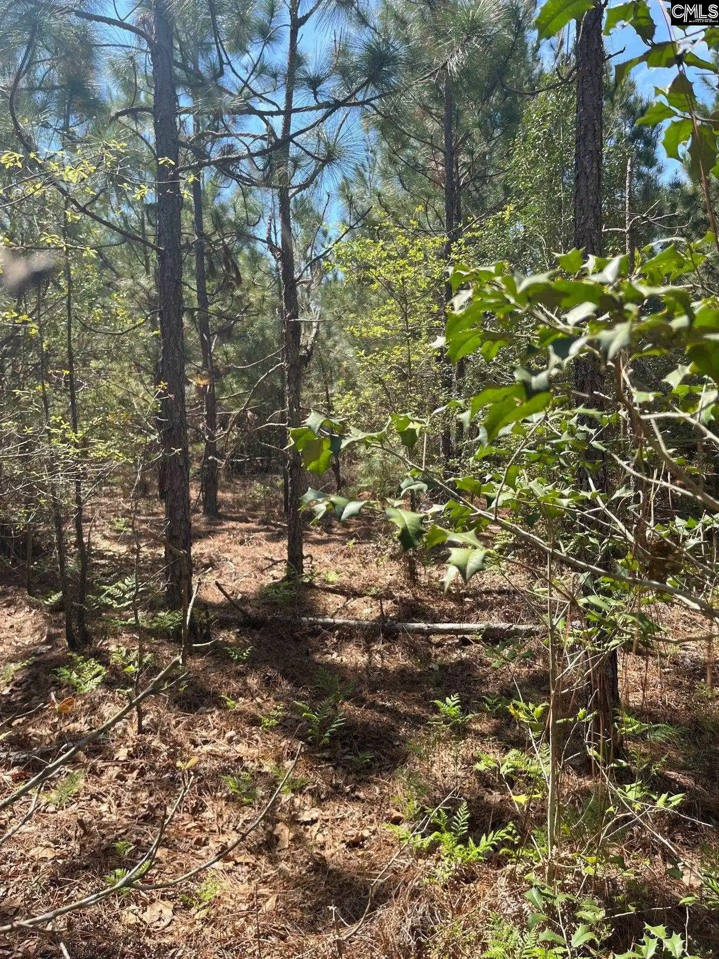2nd image of Bdf 3 Beaverdam, Cassatt, SC 29032 | MLS# 632016