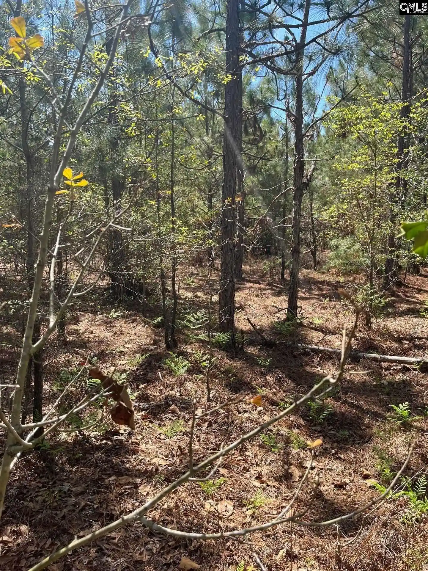 3rd image of Bdf 3 Beaverdam, Cassatt, SC 29032 | MLS# 632016