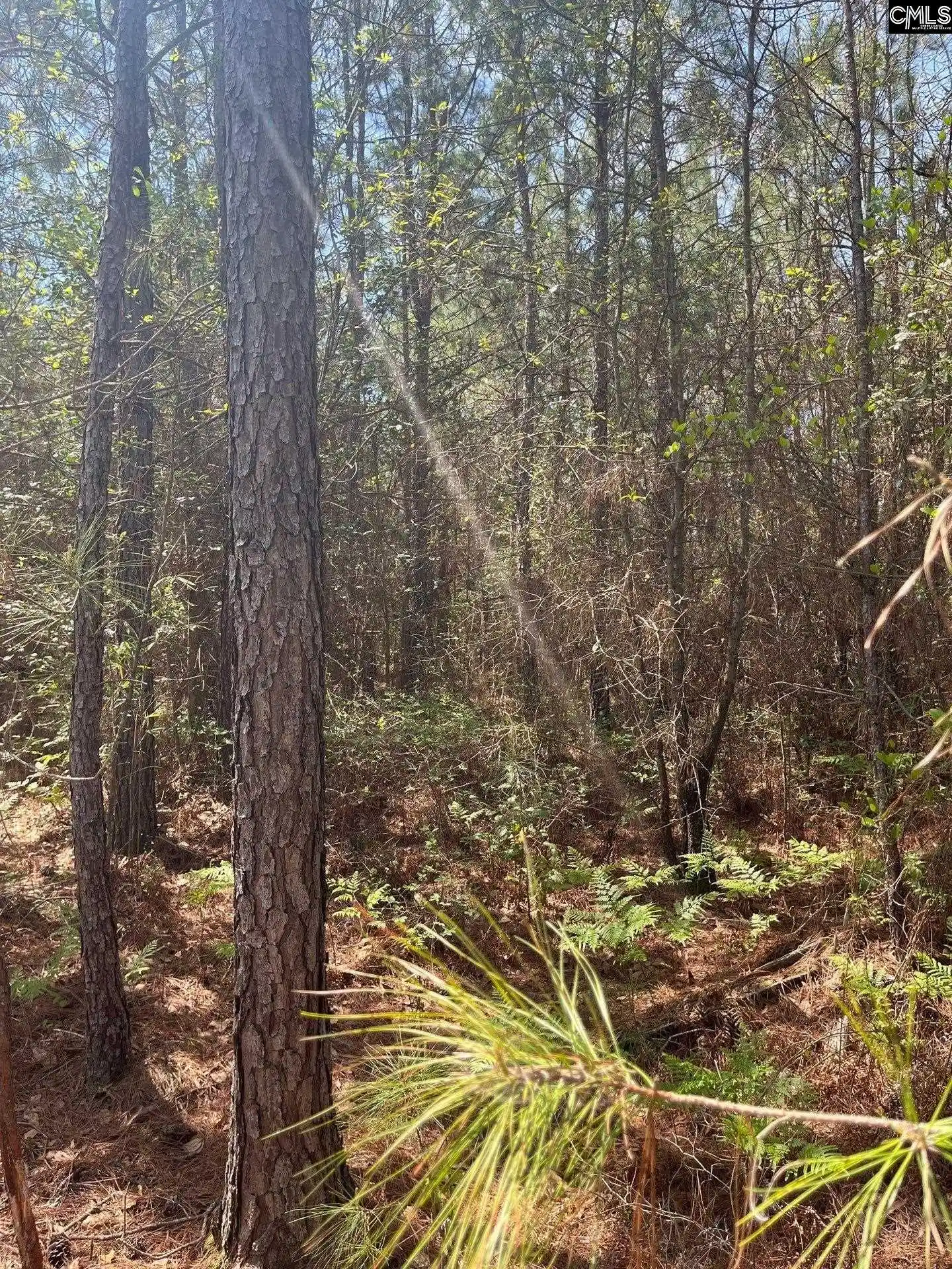 4th image of Bdf 3 Beaverdam, Cassatt, SC 29032 | MLS# 632016