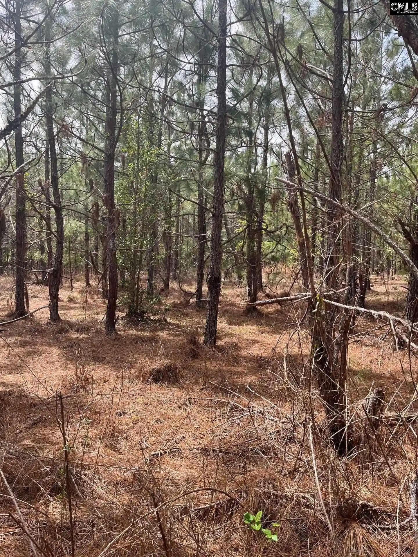 5th image of Bdf 3 Beaverdam, Cassatt, SC 29032 | MLS# 632016