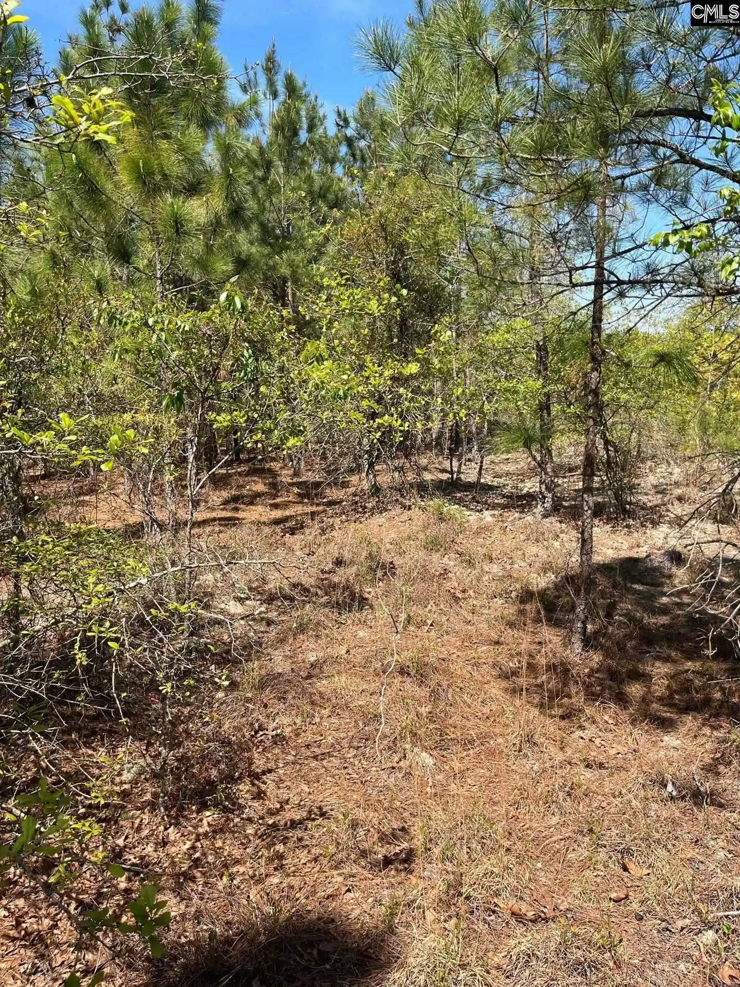 11th image of Bdf 3 Beaverdam, Cassatt, SC 29032 | MLS# 632016