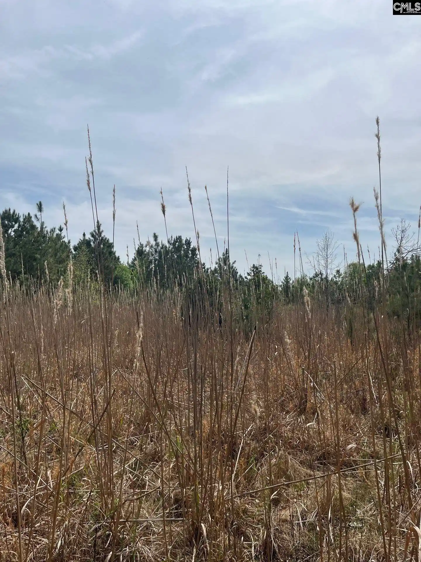 2nd image of Bdf 4 Beaverdam, Cassatt, SC 29032 | MLS# 632023