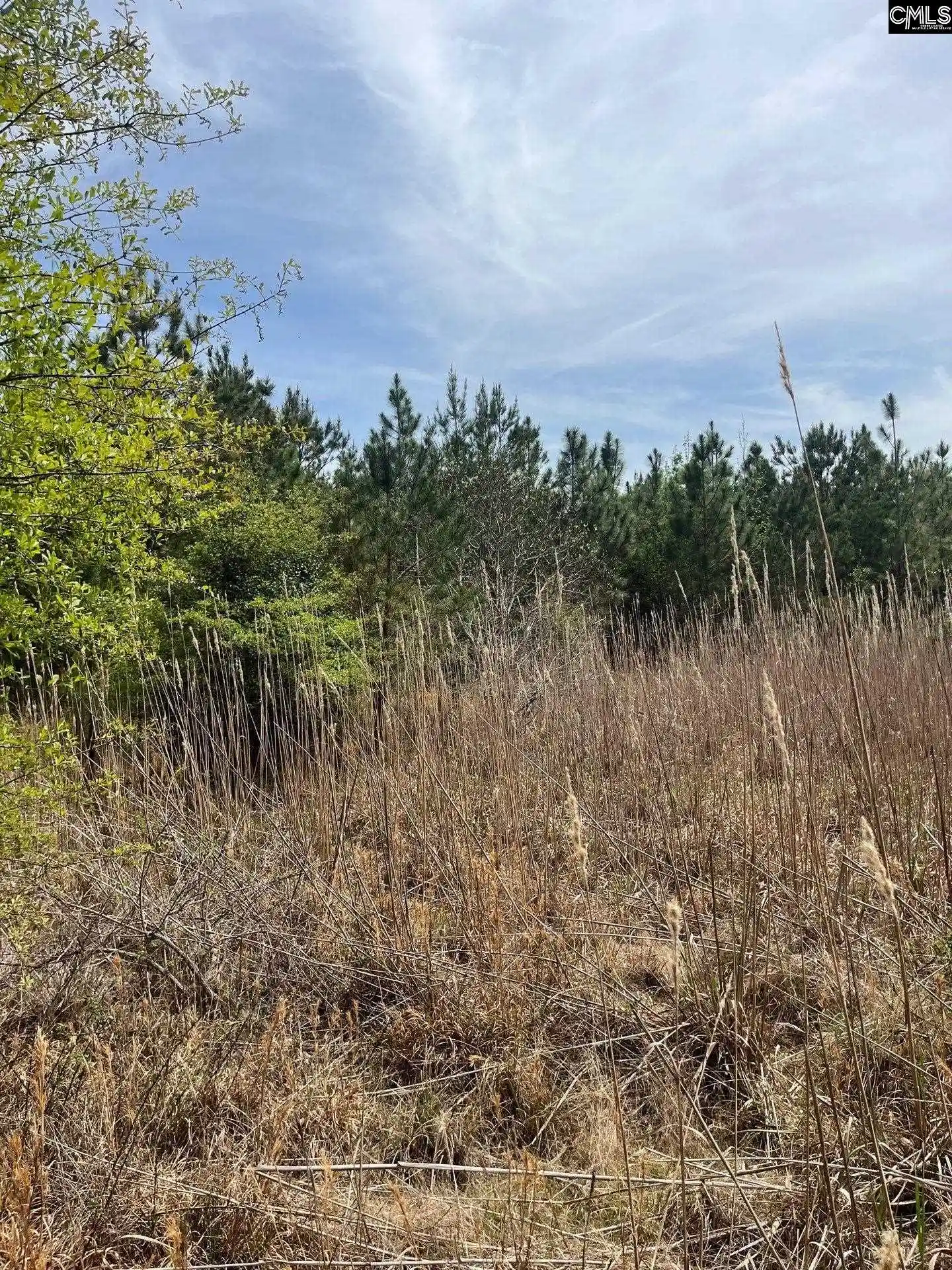 3rd image of Bdf 4 Beaverdam, Cassatt, SC 29032 | MLS# 632023