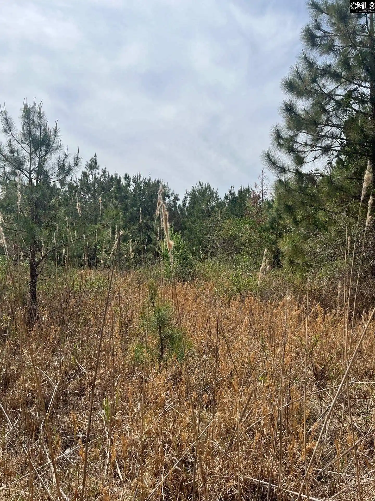 4th image of Bdf 4 Beaverdam, Cassatt, SC 29032 | MLS# 632023