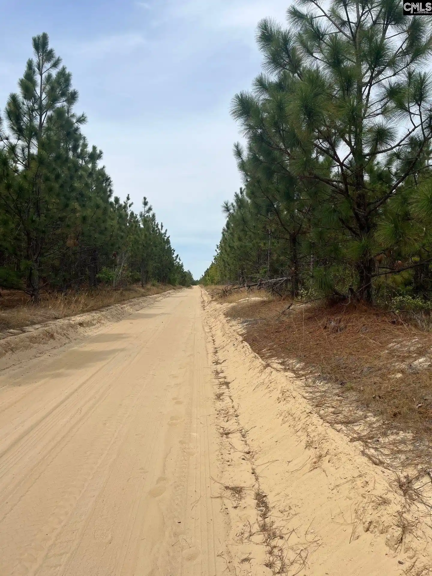 5th image of Bdf 4 Beaverdam, Cassatt, SC 29032 | MLS# 632023
