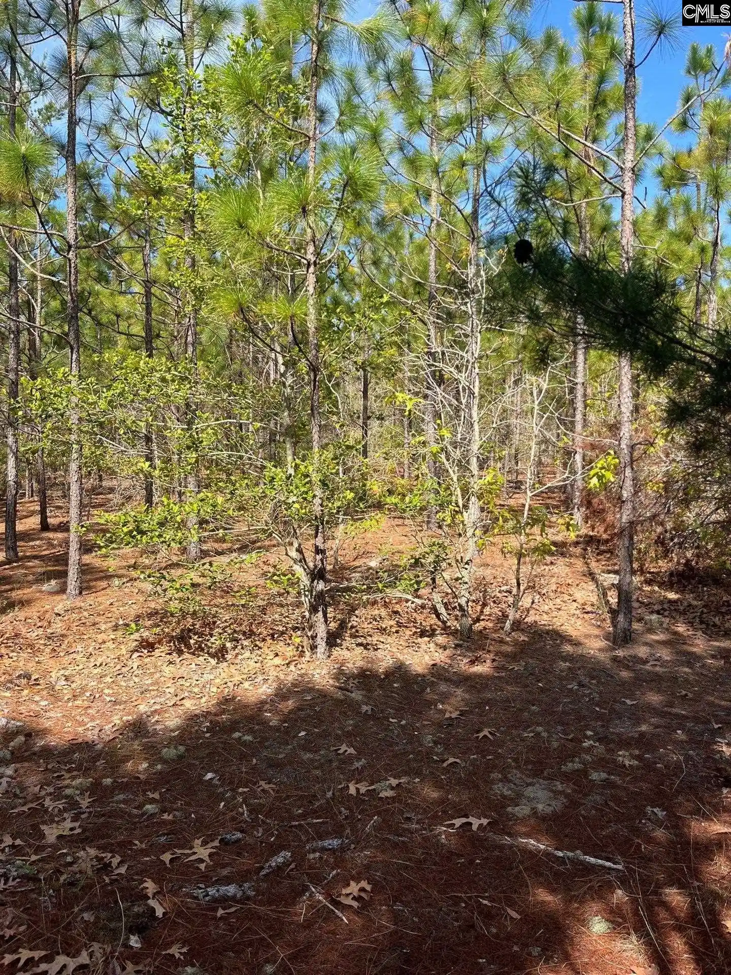 3rd image of Bdf 5 Beaverdam, Cassatt, SC 29032 | MLS# 632035